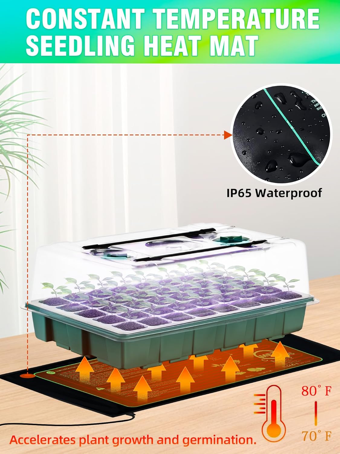 Seed Starter Tray with Grow Lights and Heat Mat, 3-in-1 Soil Meter, 80-Cell Seed Growing Tray, Germination & Plant Propagation Station for Indoor Plants 2-Pack - Image 5