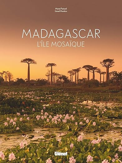 Livre Madagascar