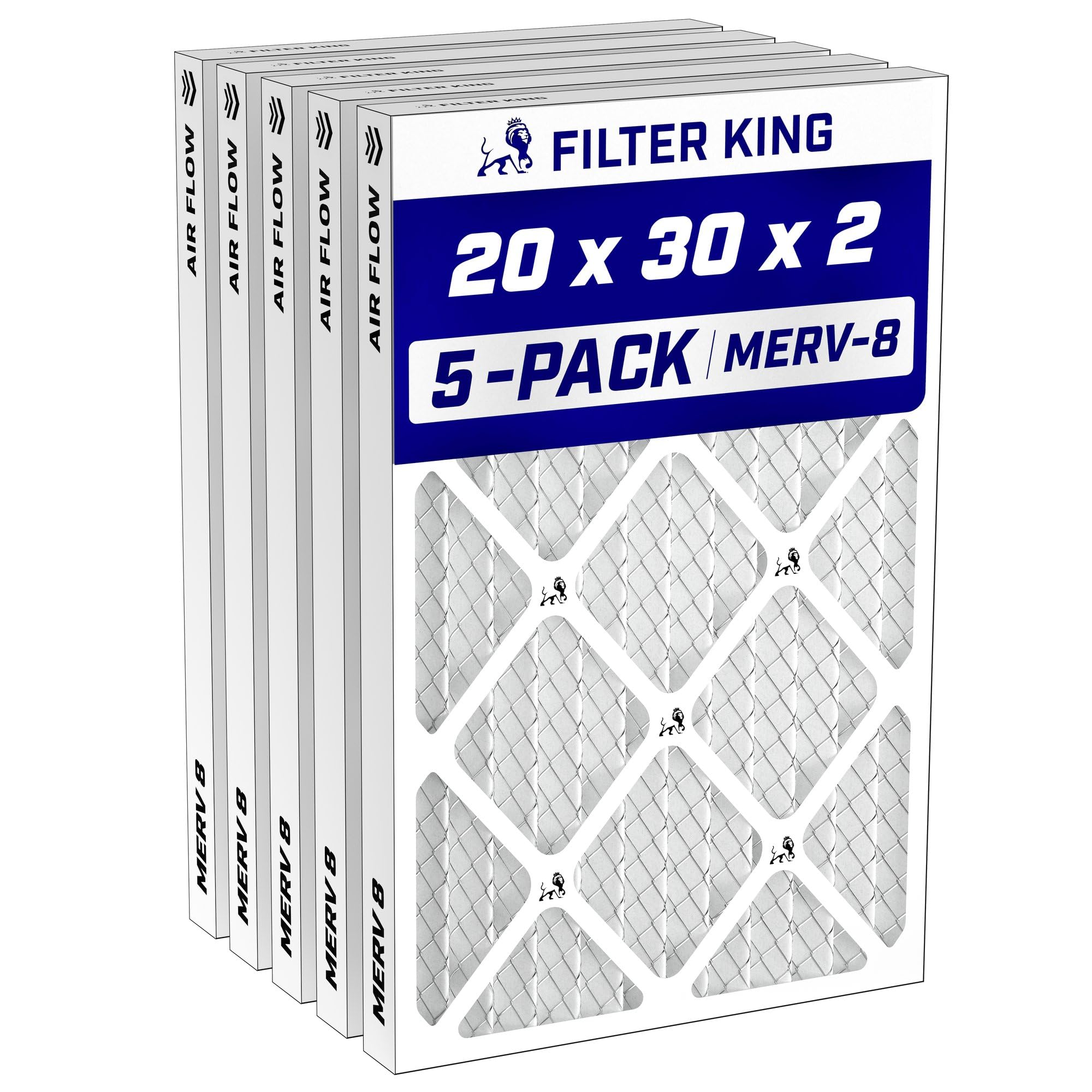 Filter King MERV 8 5-Pack