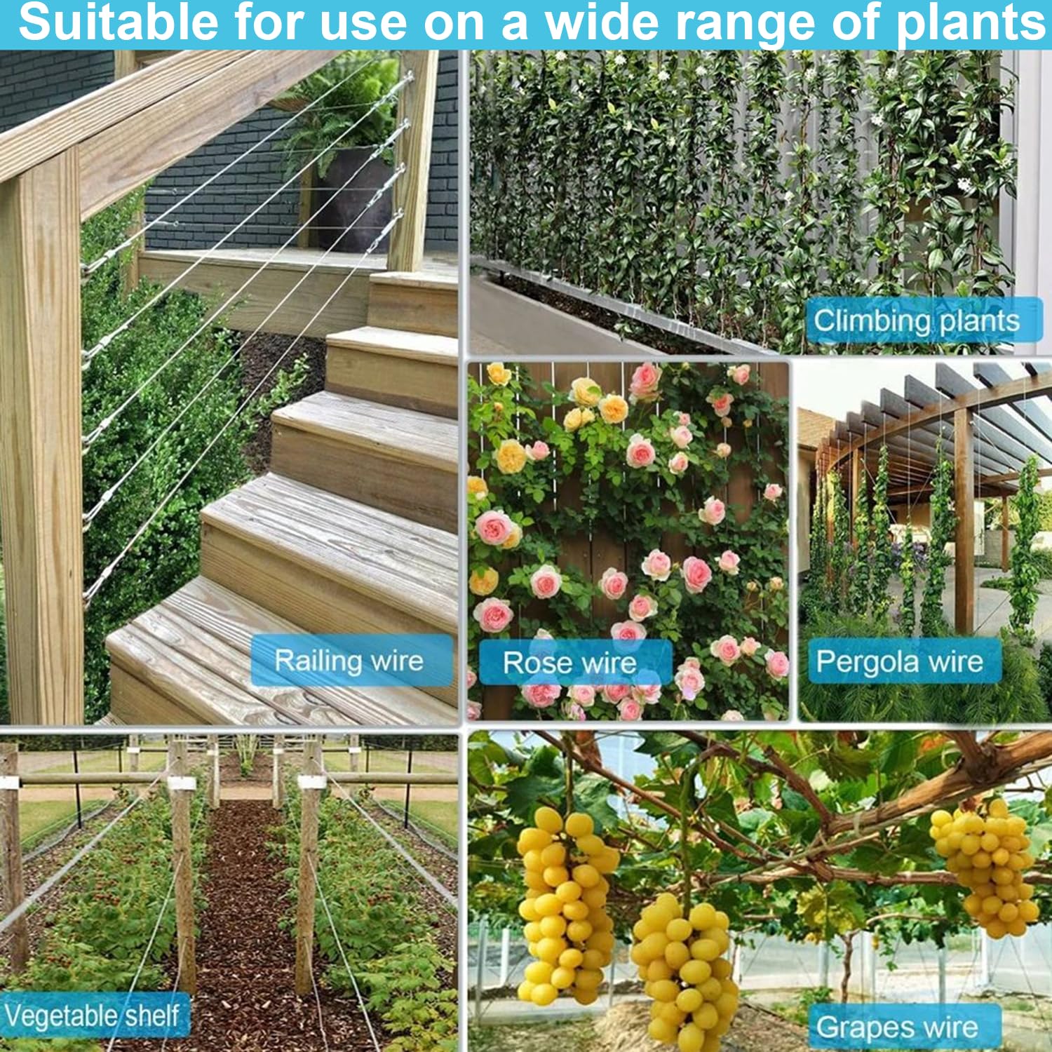 Soporte para Plantas Trepadoras En Acero Inoxidable,Sistema Profesional Completo,Incluye Soportes Pared y Cable Acero De 3 Mm,para Fijación En Espaldera,Jardines,Casas