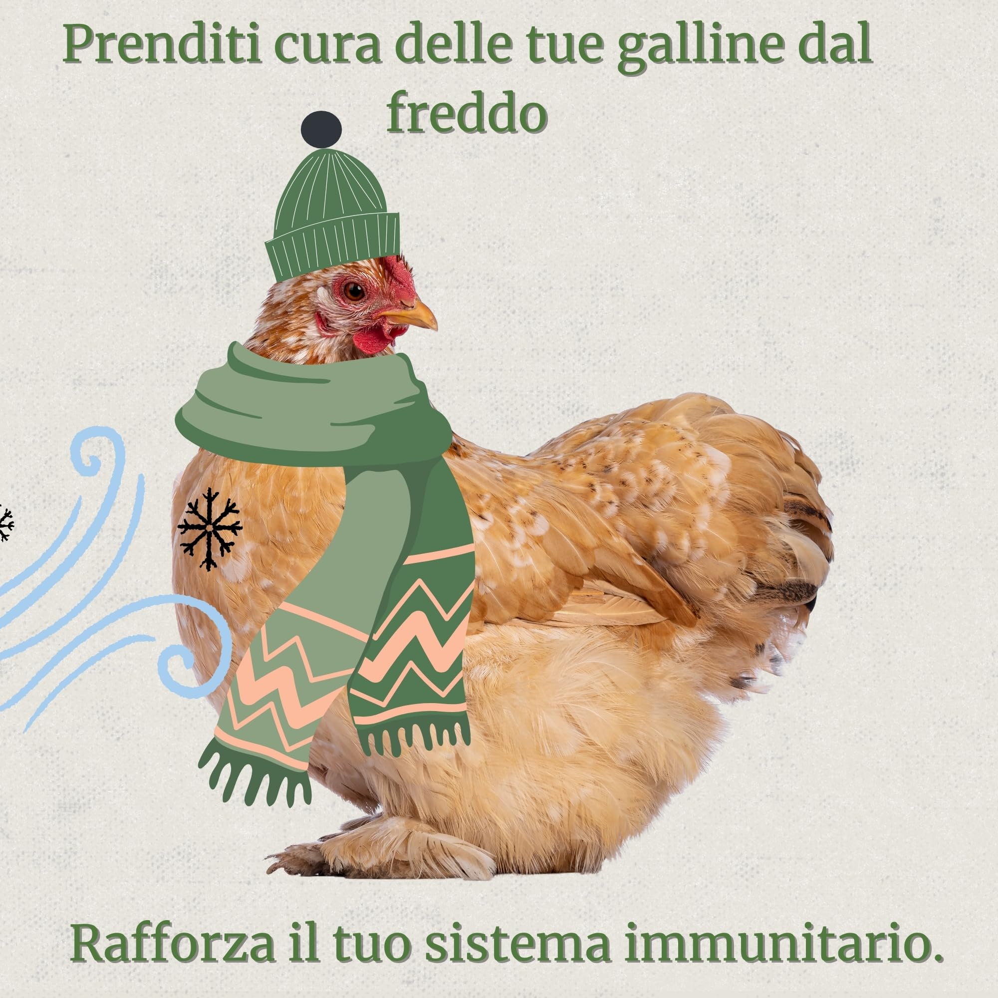 Broncare Respiratorio 250 ml con ADEC - Polli, Uccelli da Cortile ed Esotici - Oli Essenziali, Supporto Immunitario e Respiratorio - Equiseto, Menta, Timo e Rosmarino
