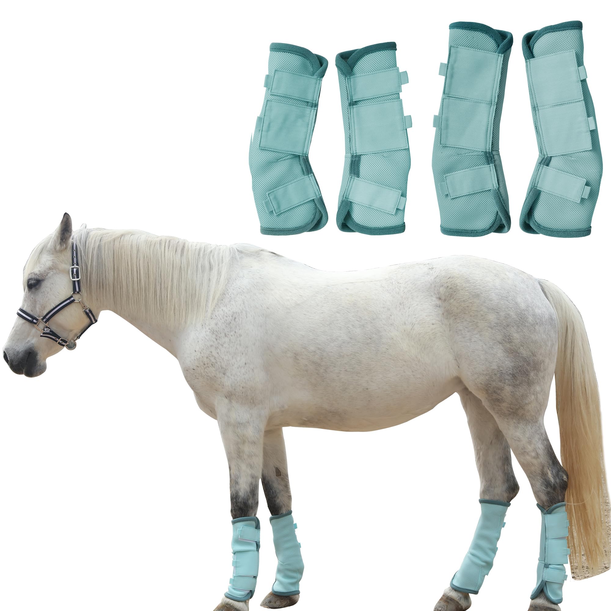 TARFEPA Adjustable Horse Fly Boots Set of 4, Equine Leg Protection Reduce Stomping, Breathable Mesh Fly Boots for Horses, Horse Leggings Leg Guards - Aqua Blue - Full