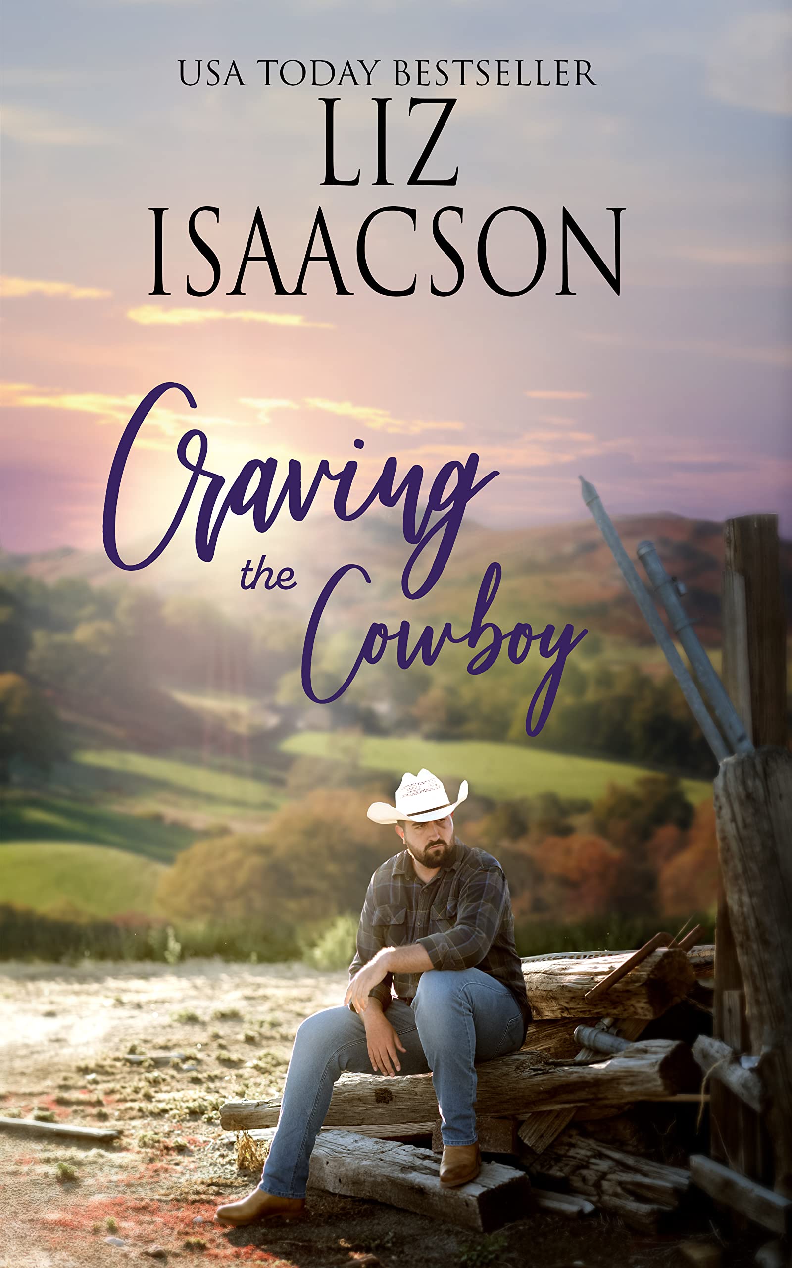 Craving the Cowboy: Christian Contemporary Romance (Grape Seed Falls Romance Book 1)