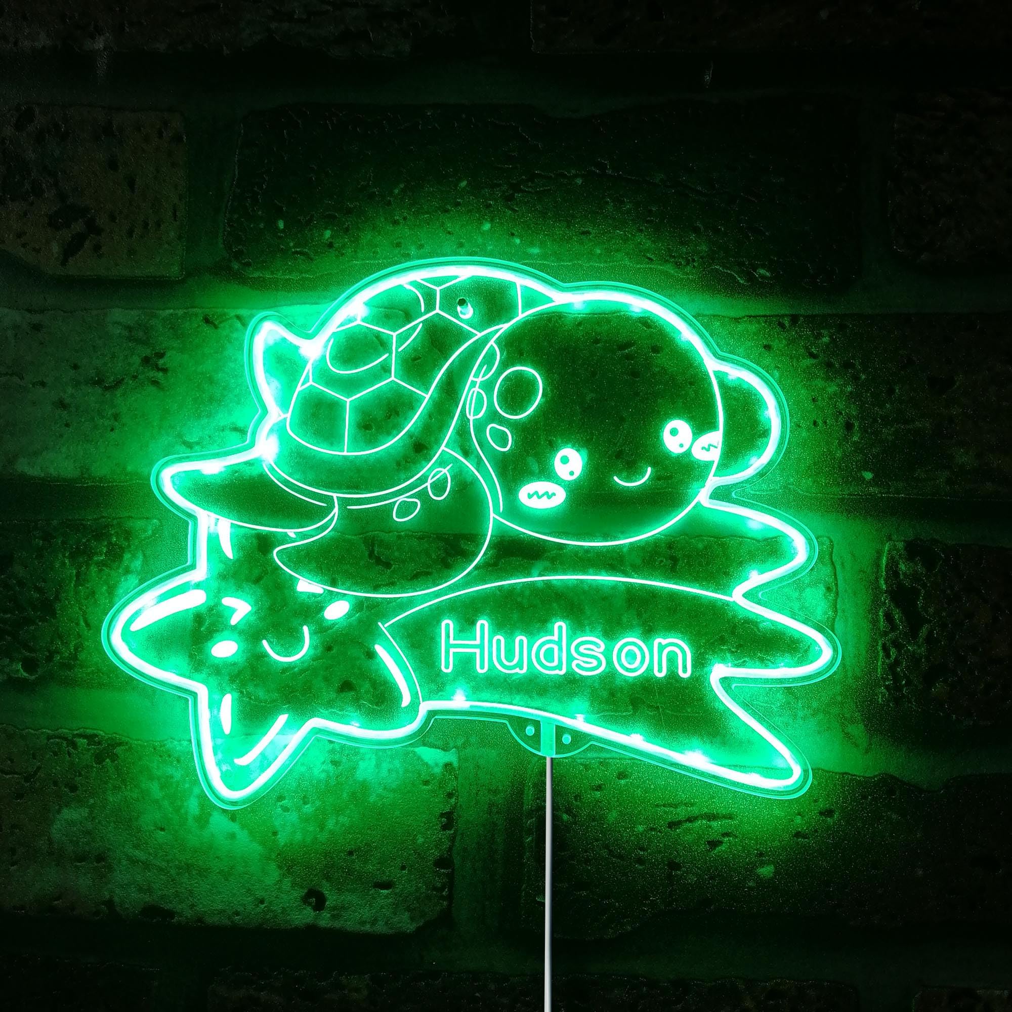 ADVPRO Name Personalized Sea Turtle RGB Dynamic Glam LED Sign - Cut-to-Edge Shape - Smart 3D Wall Decoration - Multicolor Dynamic Lighting - st06s22-fnd-p0023-tm