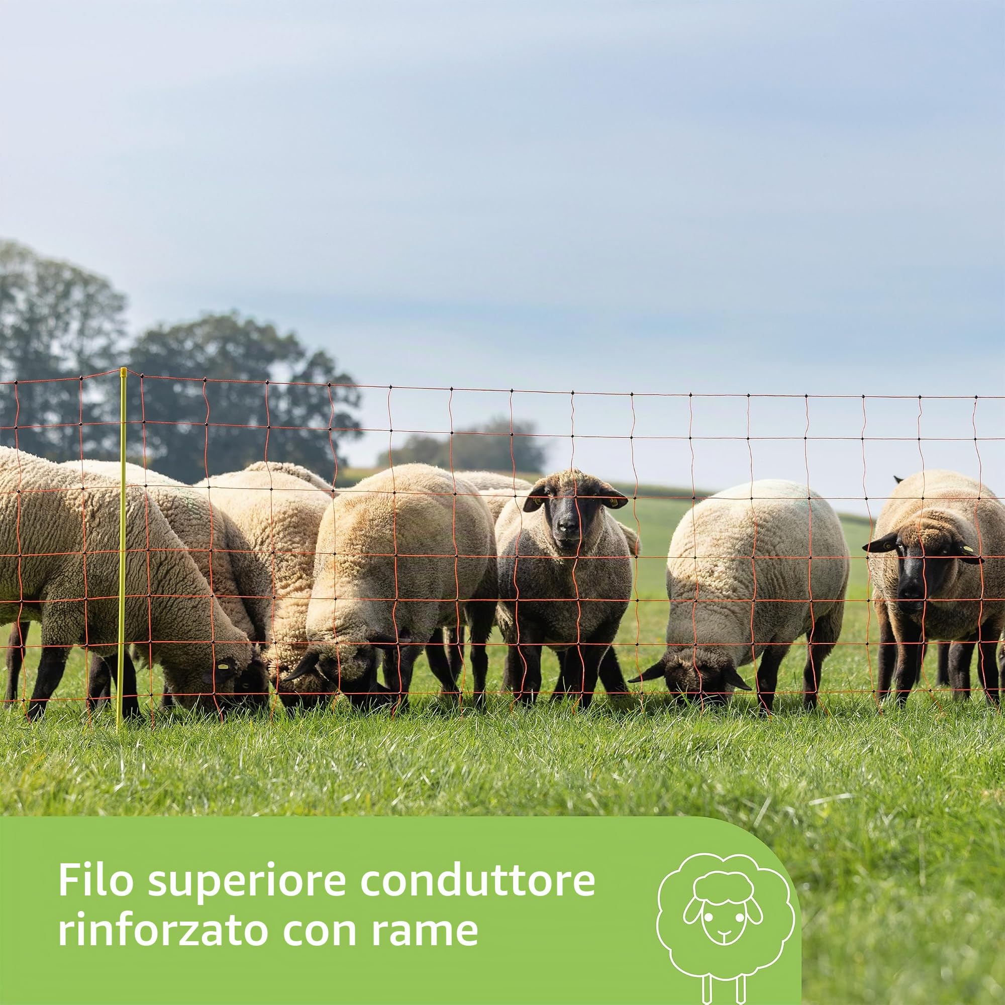 Kerbl Hobbyfarming Rete per Ovini ClassicNet, Recinzione Mobile per pascolo, Rete da pascolo, Doppia Punta, Arancione, 50m x 90cm, 13 Pali, 3 Anni di Garanzia sulla stabilità ai Raggi UV