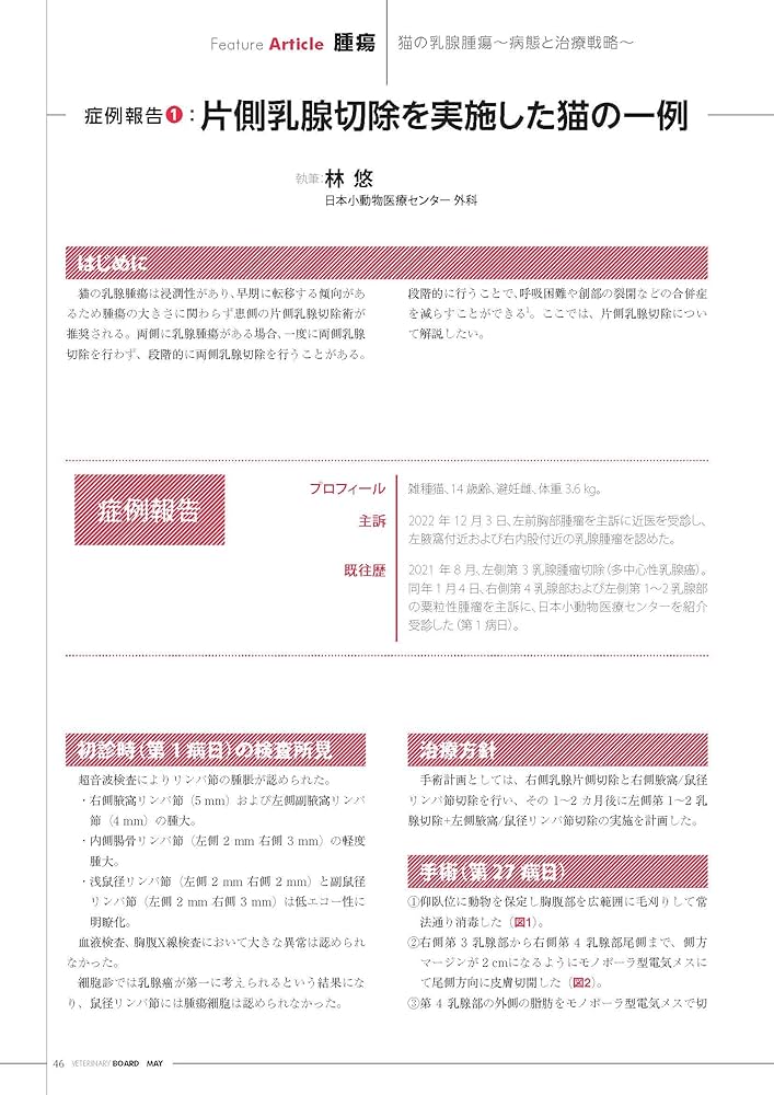 猫の腫瘍　初版 猫の腫瘍 初版