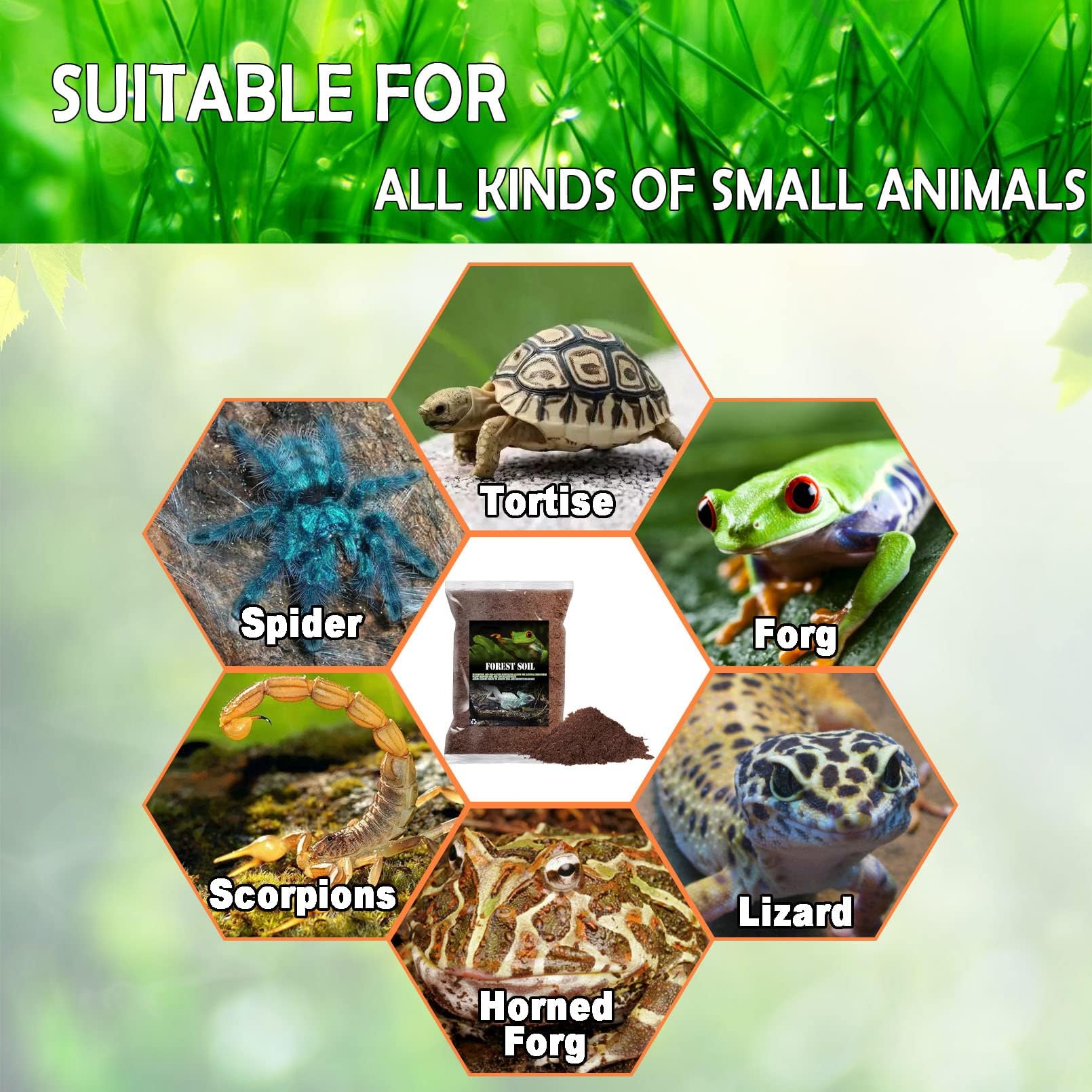 BNOSDM Reptile Soil Substrate Fluffy Small-Strand Reptile Substrate and Snake Bedding Clean Natural Terrarium Bedding for Lizards Snakes Tortoises Tarantulas - image 7