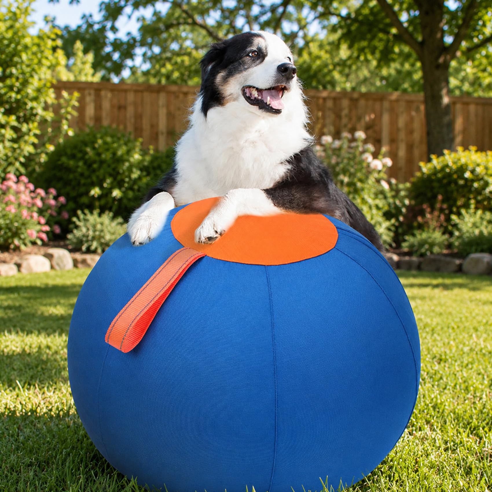 DZ'HUE Giant Herding Ball for Dogs, Ball für Hunde,Kau und kratzfestes Hundespielzeug mit Handschlaufe, Strapazierfähiges, reißfestes Spielzeug für Training, Übungen und Spiel (M)