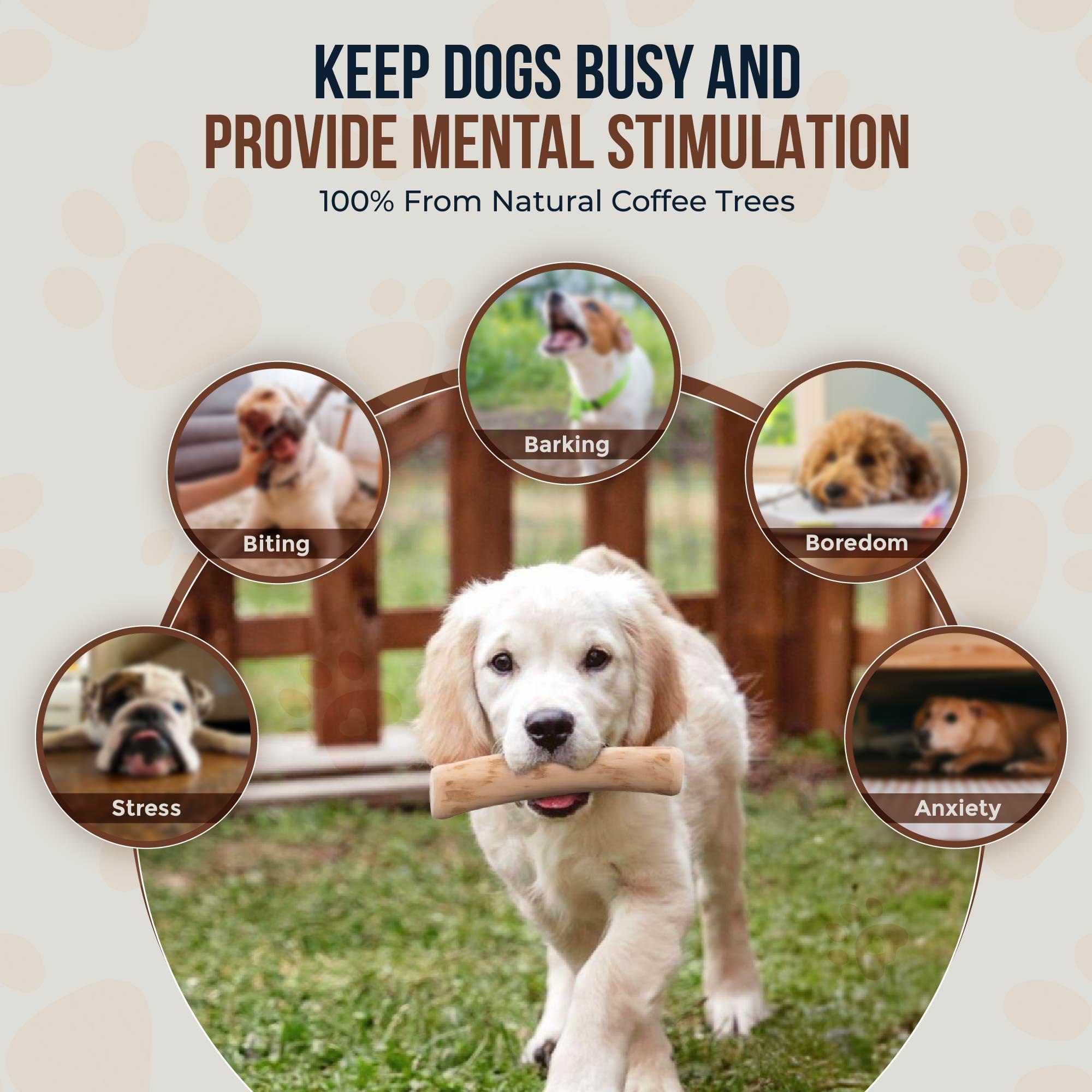 Masticables de madera de café para perros masticadores regulares, 7.5 pulgadas, paquete de 2 tamaños pequeños, 100% natural, seguro para juguetes, limpieza de dientes de perro y aliviar el