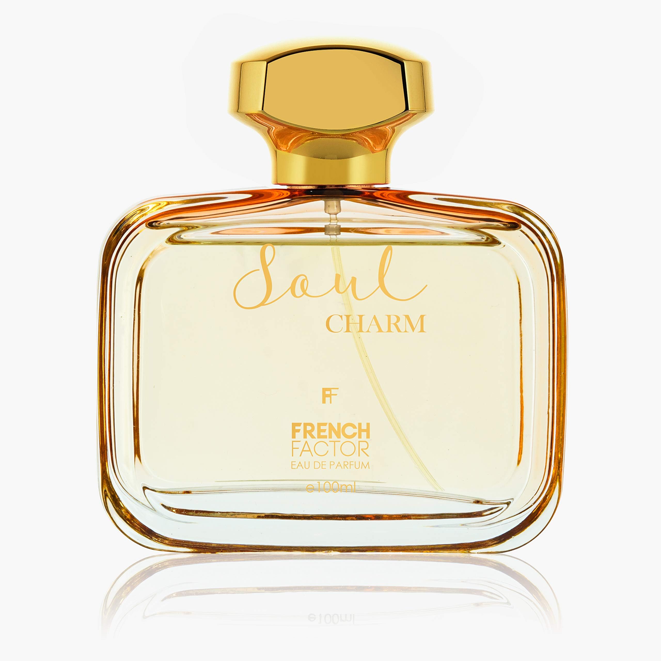 The French Factor Soul Charm Perfume 100ml EAU DE PARFUM Long Lasting Perfume Floral Fragrance Classic, Cultivated and Cosmopolitan EDP