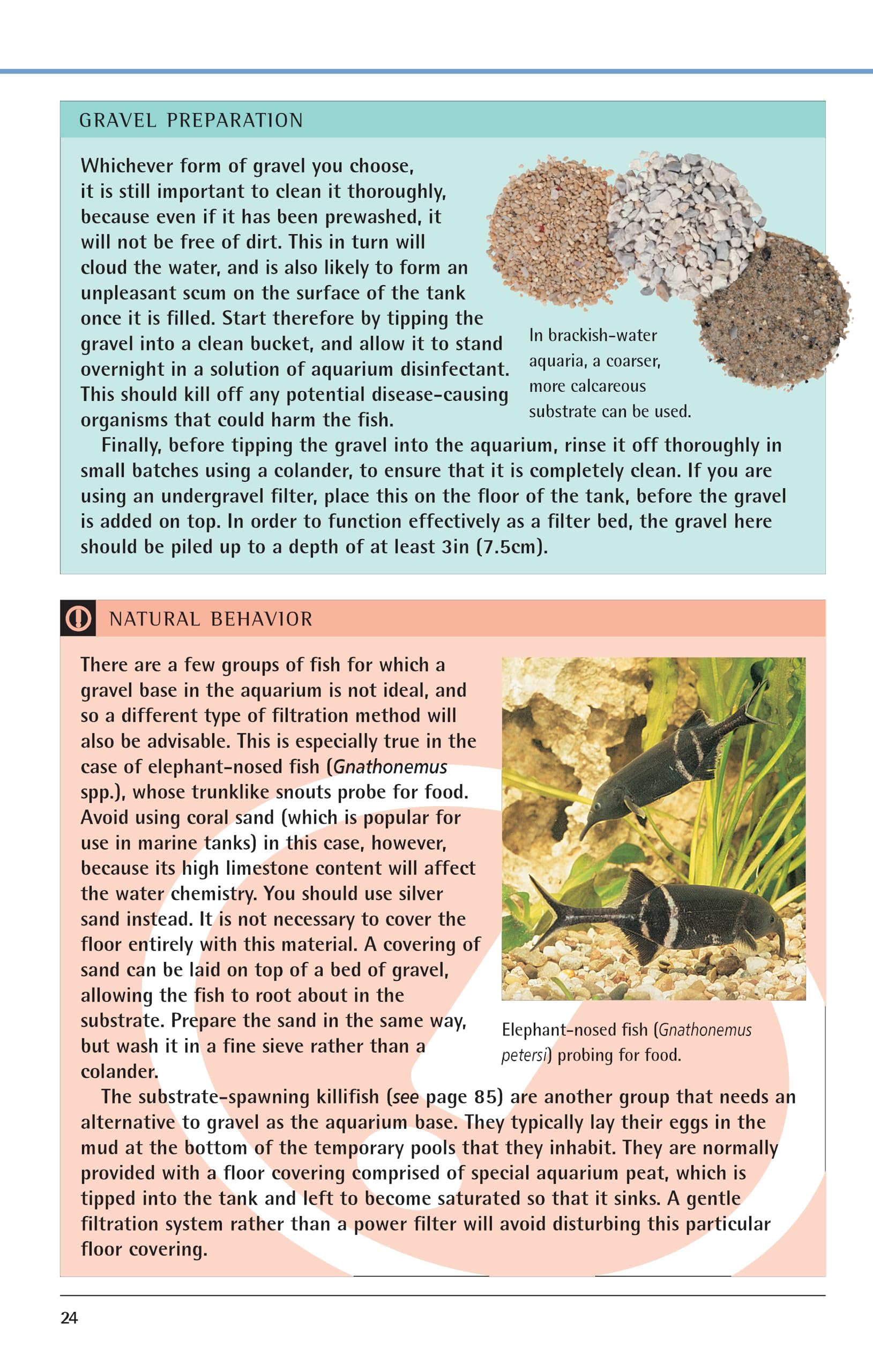 Freshwater Aquariums: Basic Aquarium Setup and Maintenance (Fish Keeping Made Easy)