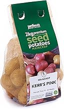 Jamieson Brothers 2kg Kerrs Pink Seed Potatoes – JBA Maincrop Grow Your Own Spuds – for Roasting, Mashing, Boiling & Frying – Scottish-Grown & Ready to Plant in Pots, Gardens & Allotments