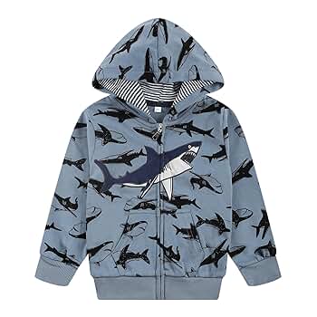 JILTU　baby frill hoodie Amazon.com: NUBEEHOHO Boys Hooded Sweatshirts Toddler Boy