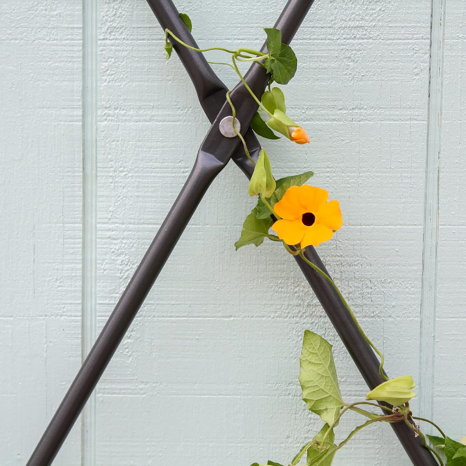 Minuteman International Wall Mounted Lattice Trellis, Graphite Powdercoat Finish