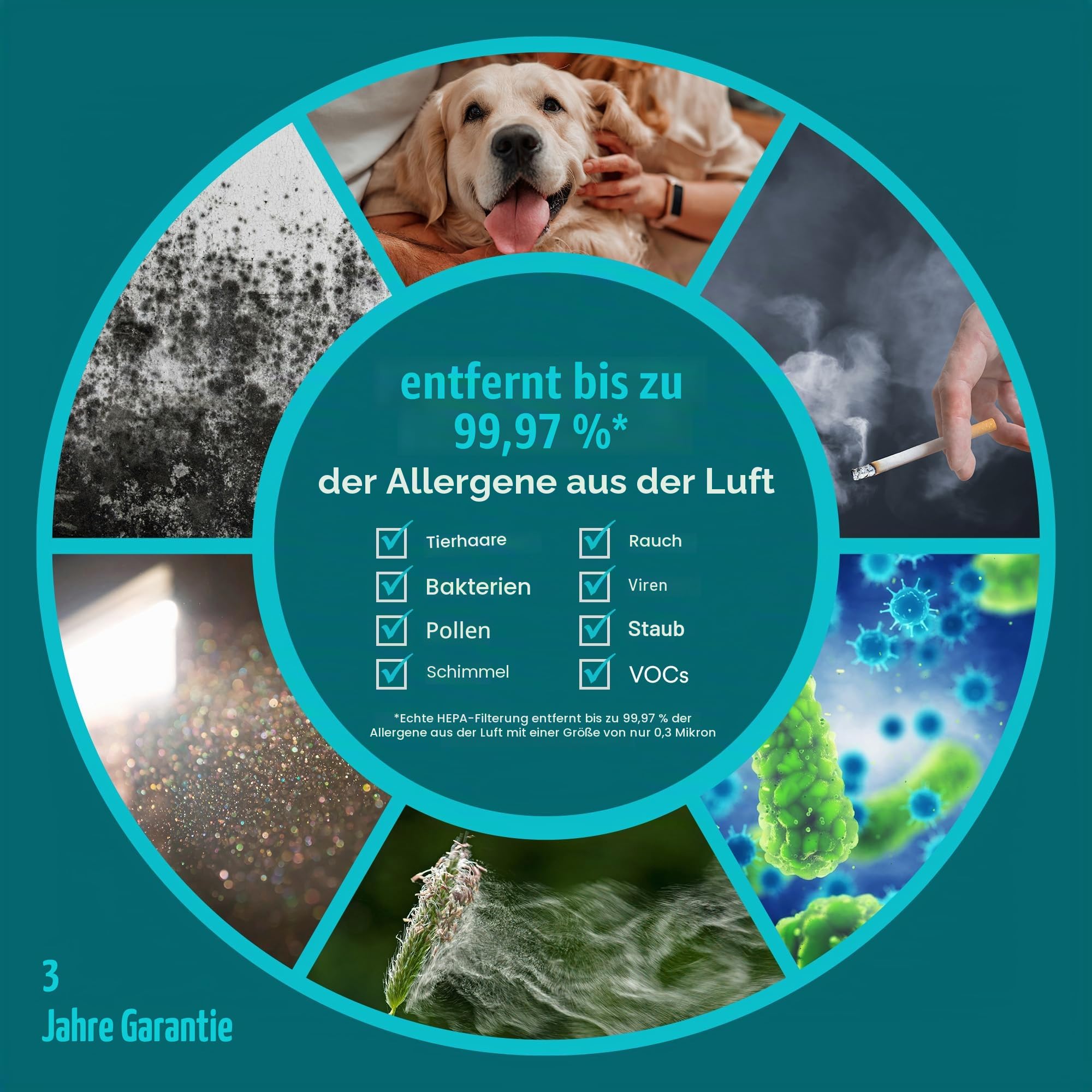 HoMedics Luftreiniger 84 m²mit UV-C, HEPA- & Aktivkohlefilter - Air Purifier für Allergiker, Raucherzimmer, Büros, leise - Entfernt bis zu 99.97% der Allergene, Schimmel, Pollen & Staub, Weiß