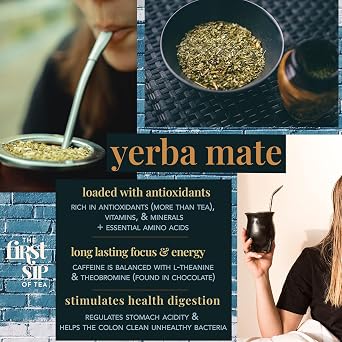 Mango Yerba Mate with Ginseng, Pyramid Sachet Tea Bags, Clean Energy Drink, Chlorogenic Acid Tea, High Caffeine - 16 Cups | The Spice Hut