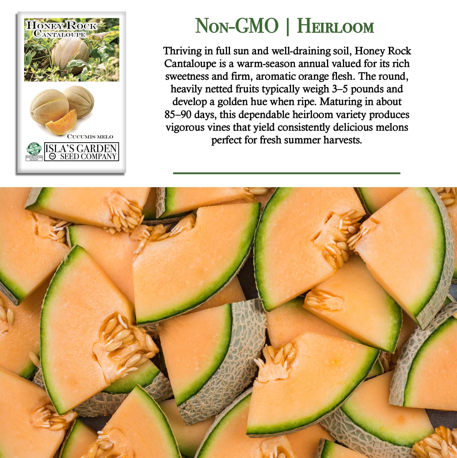 30 Organic Sugar Kiss Cantaloupe Melon Seeds – Florida Grown, Sweet & Rare