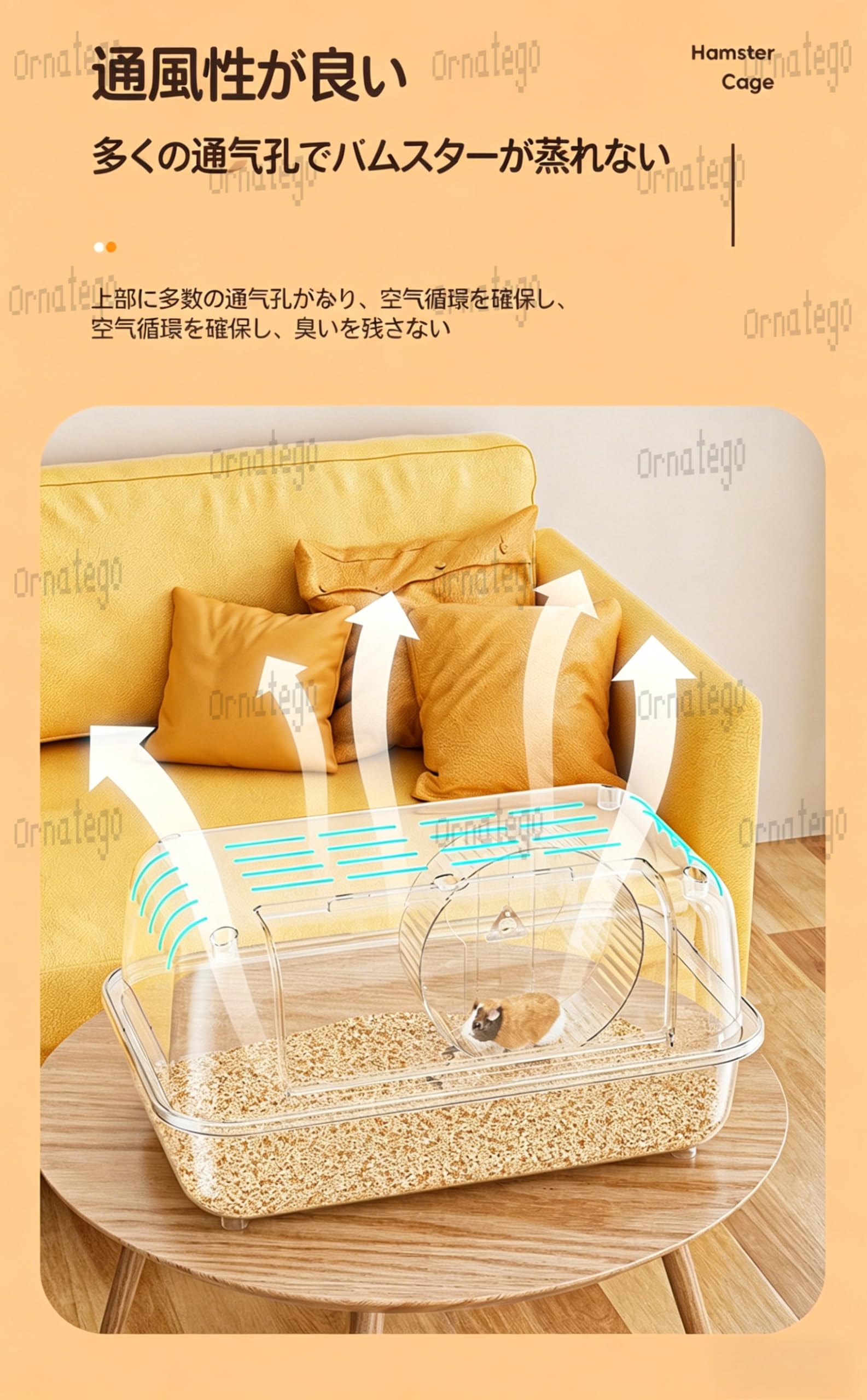 Amazon | Ornatego【全面透明アクリルで360°観察可能】60cm大型