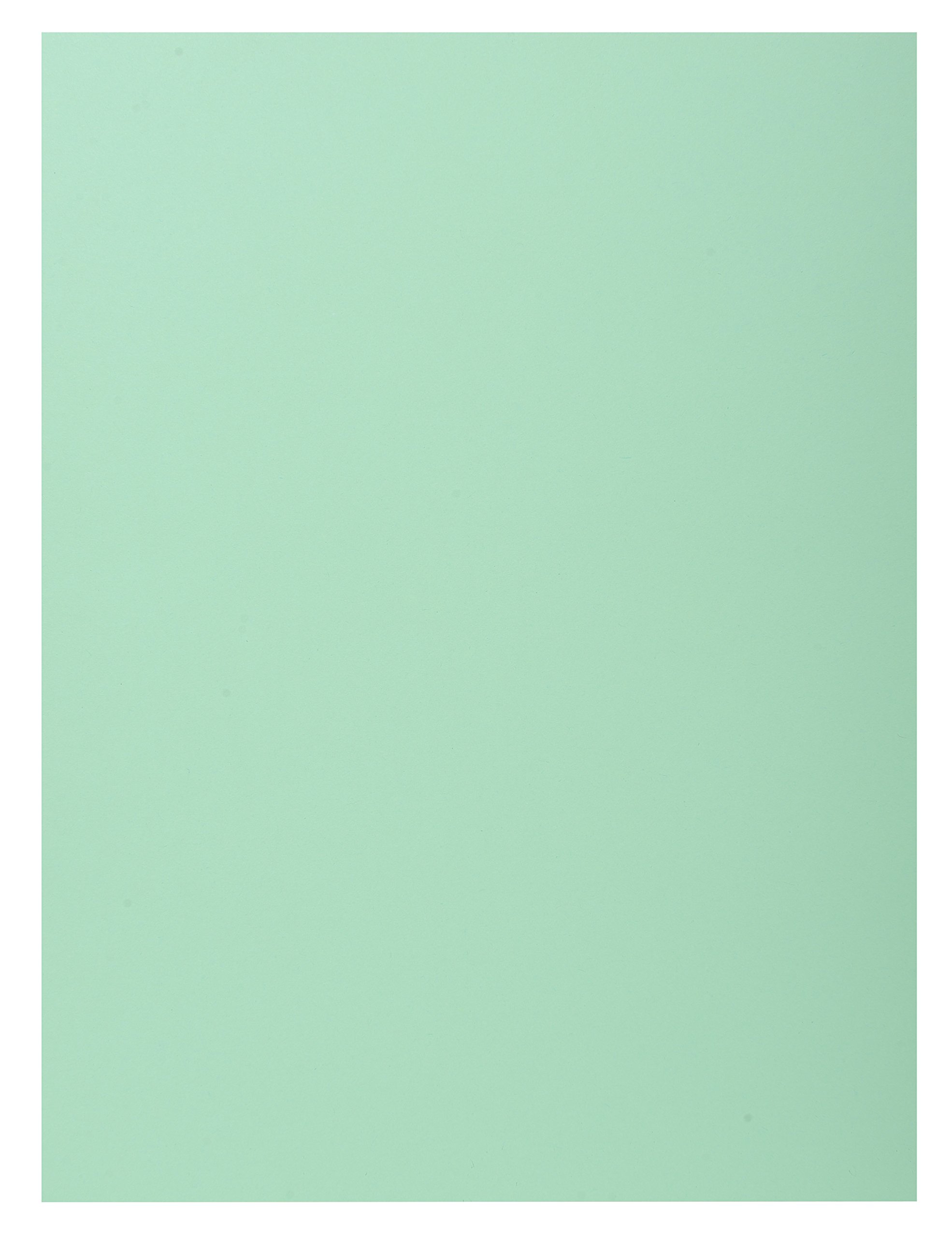 Exacompta, Ref 348004E, Super 210 1-Flap Folders, 240 x 320mm in Size, Suitable for Holding A4 Documents, 160gsm Card