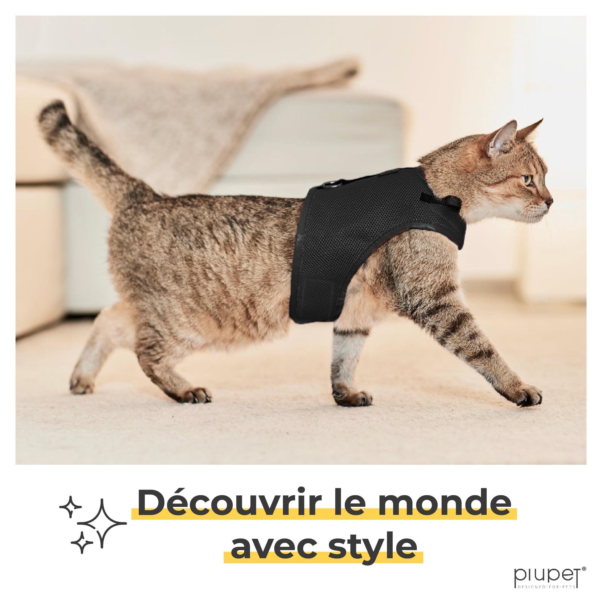 PiuPet® Harnais Chat & Laisse (S) I 1,2m I Anti Évasion I Collier I Chaton I Petit Chien I Adulte I Noir
