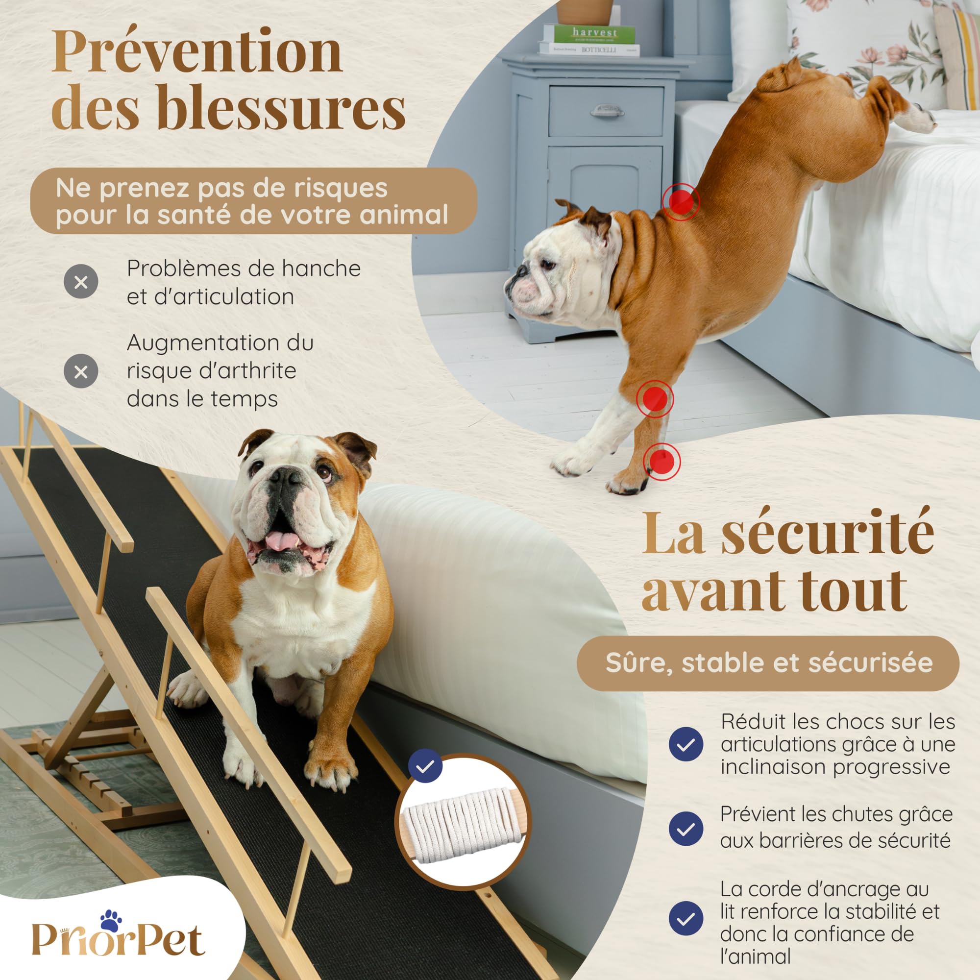 Rampe pour Chien Lit avec Barrières de Sécurité - Escalier pour Chien PRIORPET - Bois de Bouleau - pour Lit Haut jusqu'à 94.5 cm - Pliable -Poignée antidérapante-pour Les Chiens jusqu'à 23kg- Naturel