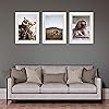 Product Photo 6