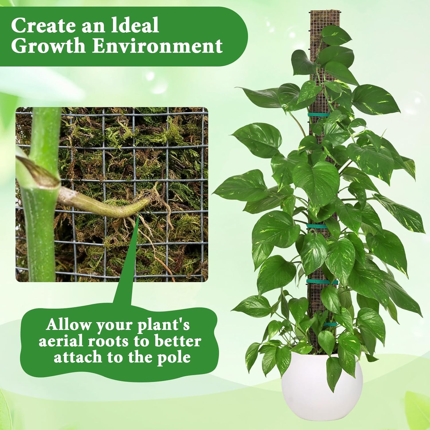 24"+40"+60" Metal Moss Pole - 6 Pack D Shape Sphagnum Moss Pole, Moss Poles for Climbing Plants, Monstera, Climbing Plants Indoor