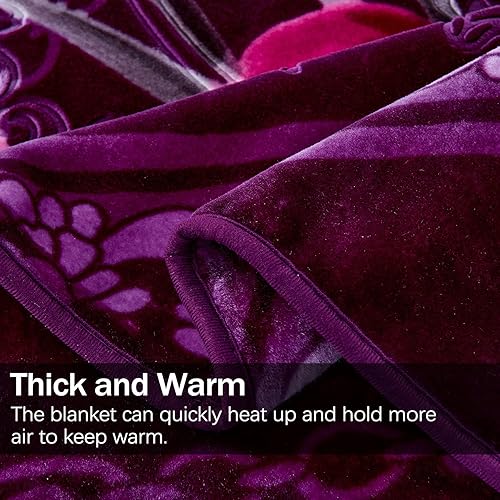 Miniatura 10 de MERRY HOME Manta de forro polar coreano tamaño King, 85 x 95 pulgadas, 9 libras, una sola capa, suave y cálida manta de visón gruesa Raschel en
