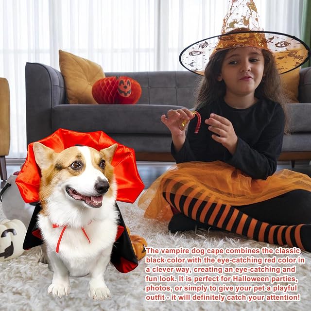 Foto 6 de 7 de LEKEFETO Disfraz de vampiro de Halloween para perros medianos