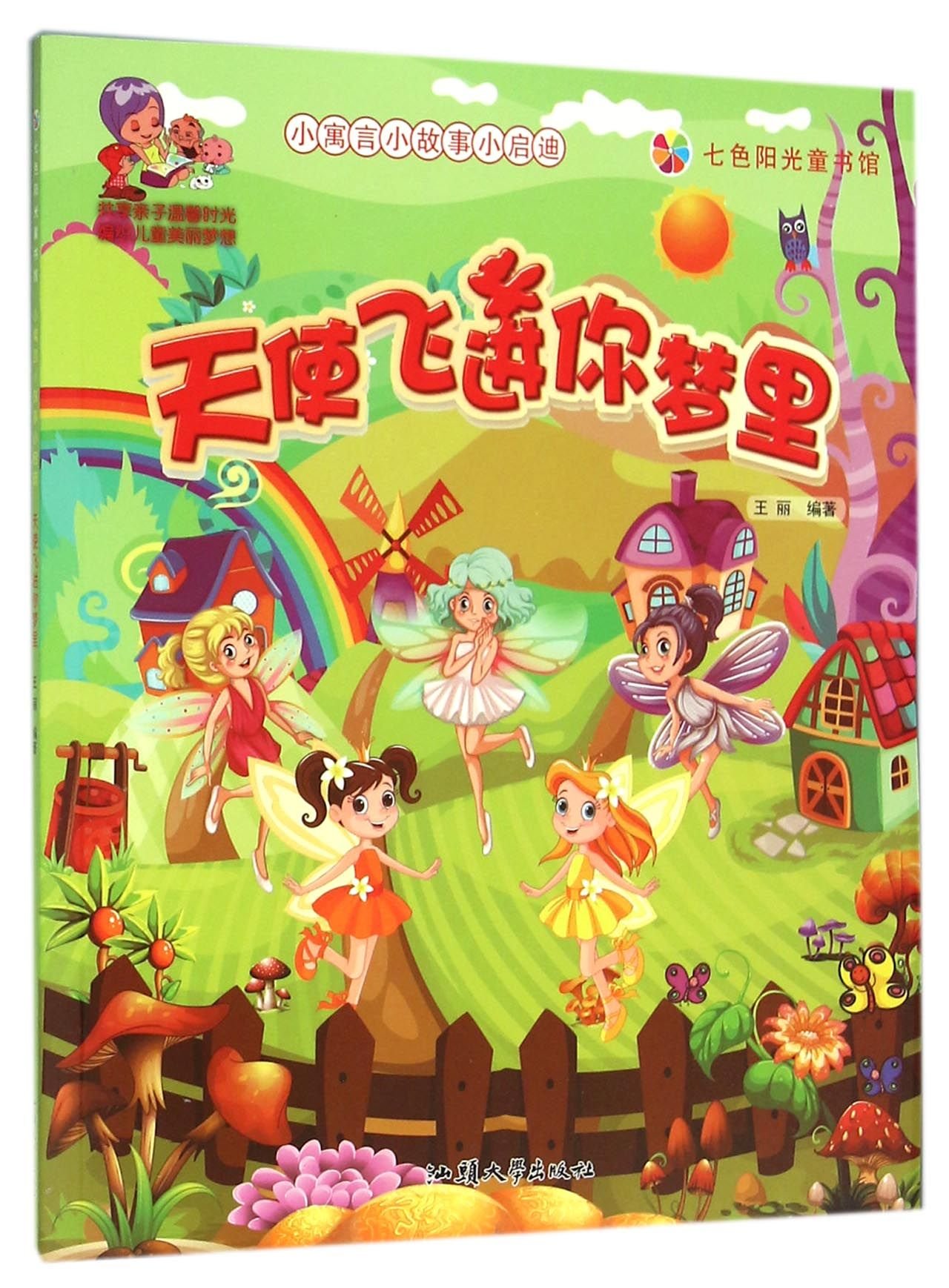 The Angel Flies into Your Dream (Chinese Edition)