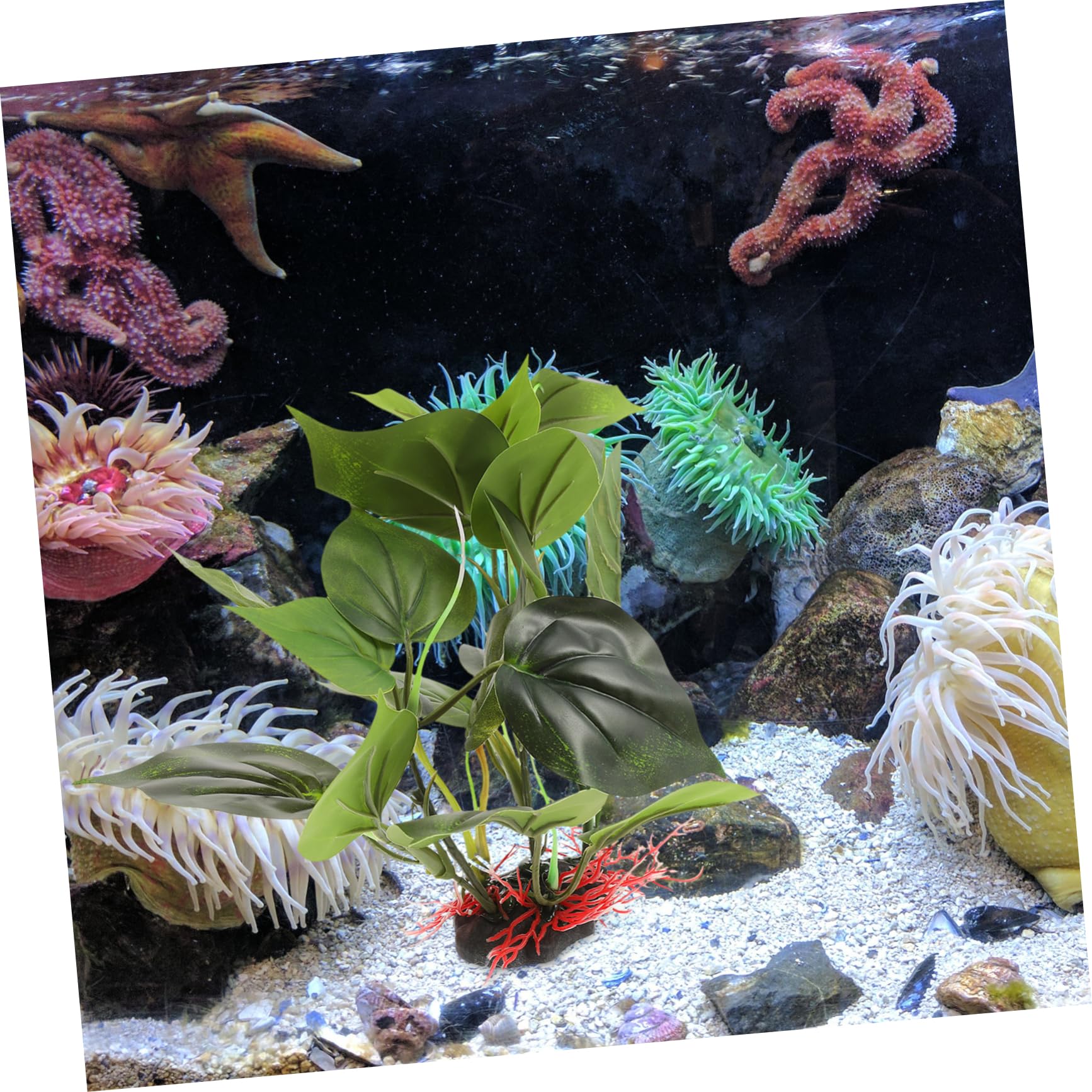 Kisangel 3piezas Planta Artificial para Acuario Decoración De Plástico para Peceras Adorno y Natural para Betta y Accesorios Acuáticos para Acuarios De Agua Dulce y Salada