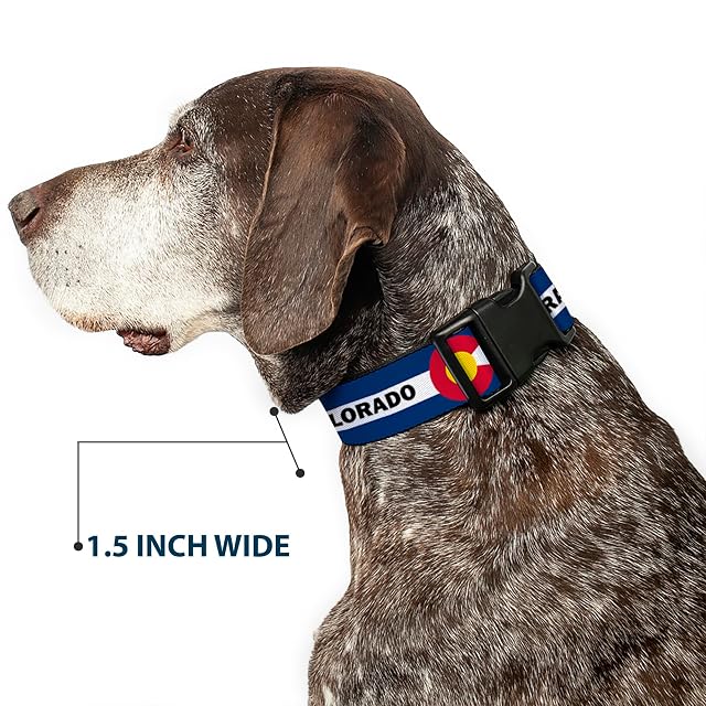 Foto 7 de 8 de Buckle-Down Collar de Perro con Clip de plástico con Bandera de Colorado, Azul, Blanco, Rojo, Amarillo