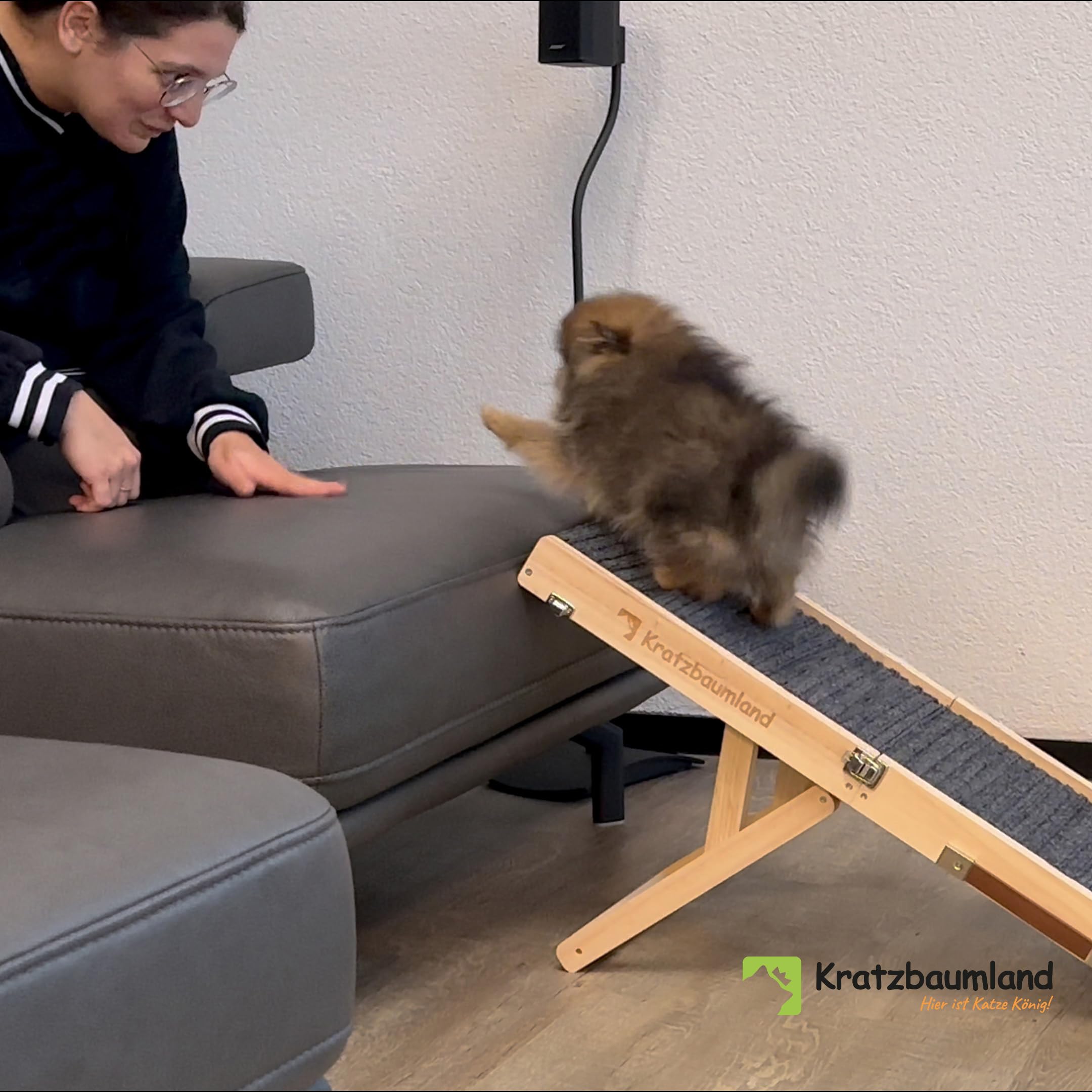 Kratzbaumland Hunde- und Katzenrampe faltbar und höhenverstellbar für Hunde und Katzen, aus Holz, Hunderampe Katzenrampe (Dunkelgrau)