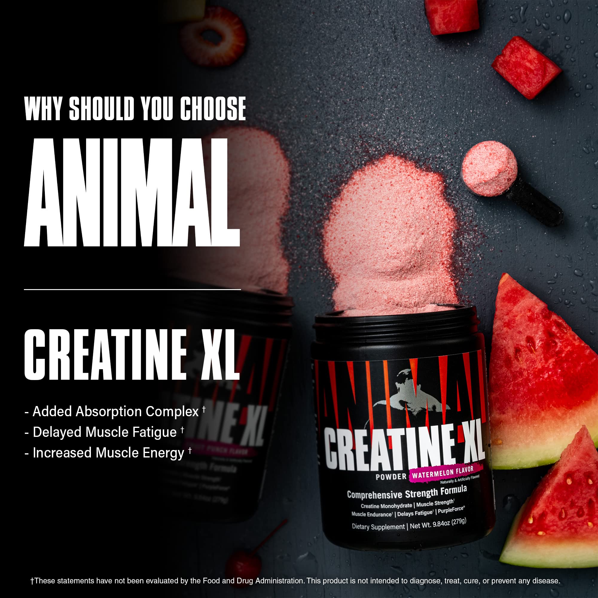 Animal Creatine XL Powder E...B0B4V5DTGX