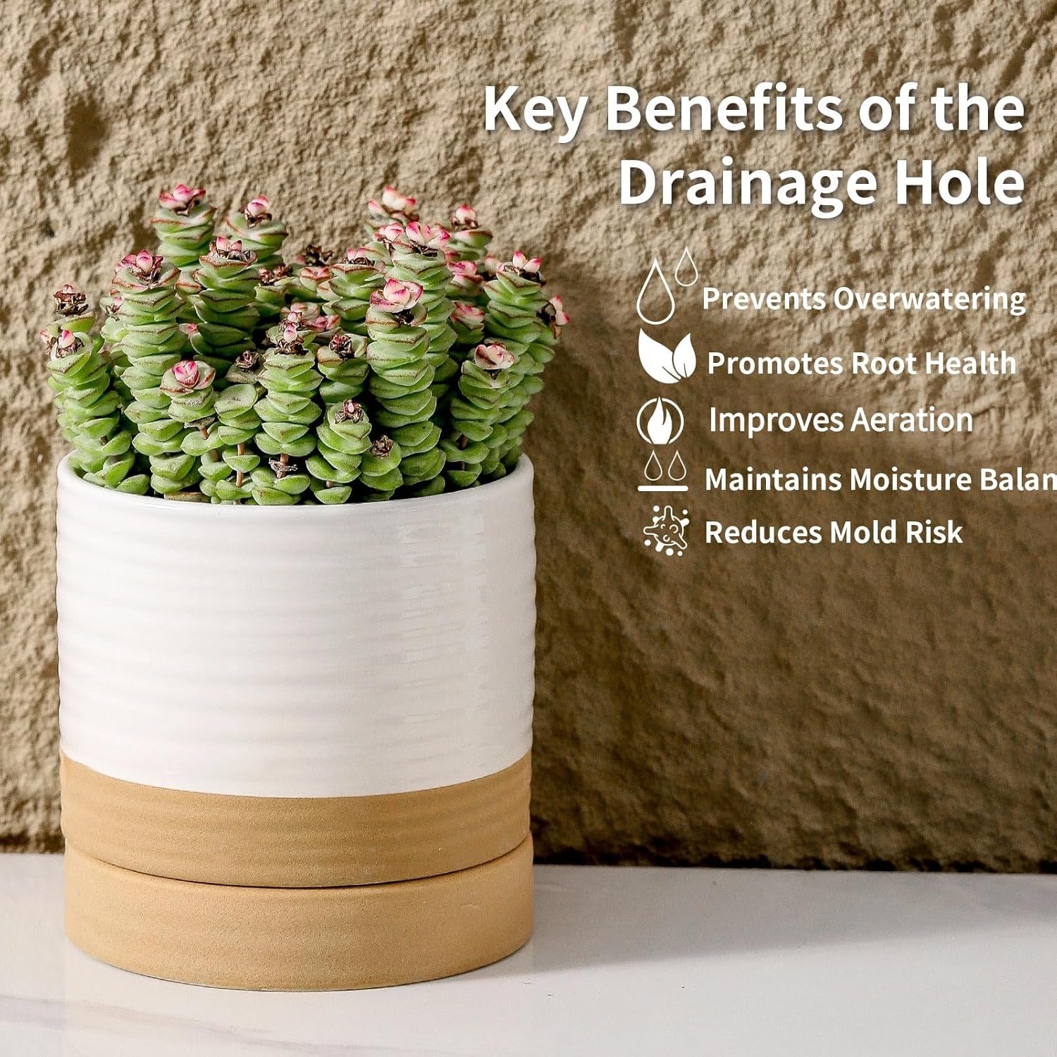 HASENSE Ceramic Plant Pots with Saucers Set of 4, 4.6 Inch Planters for Indoor Plants with Drainage Holes,Two-Tone White Flower Pots for Succulents, Snake Plants & Cactus, Farmhouse Desktop Decor