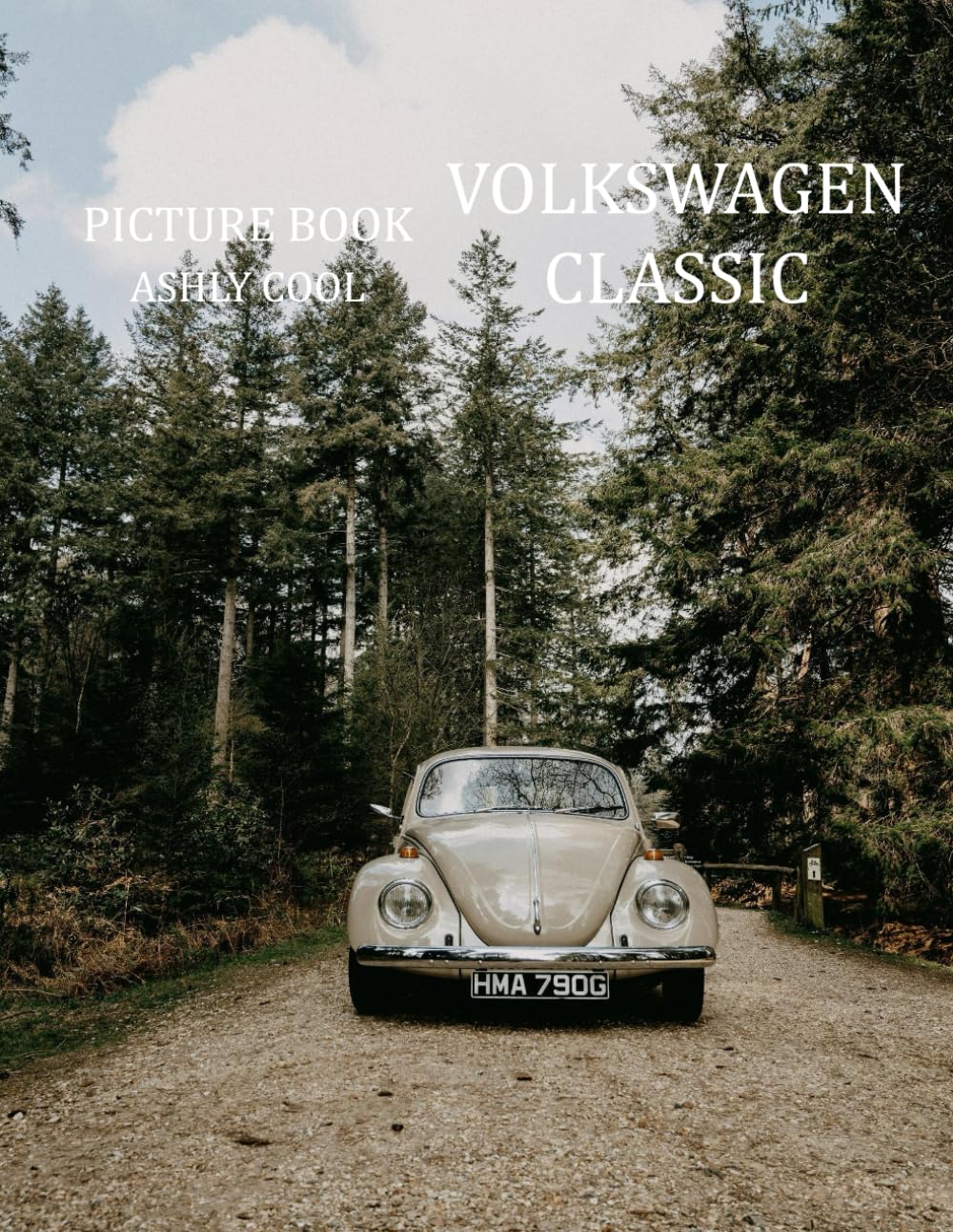 Volkswagen Classic: Celebrating Iconic Volkswagen Classics: A Visual Journey Through Automotive History