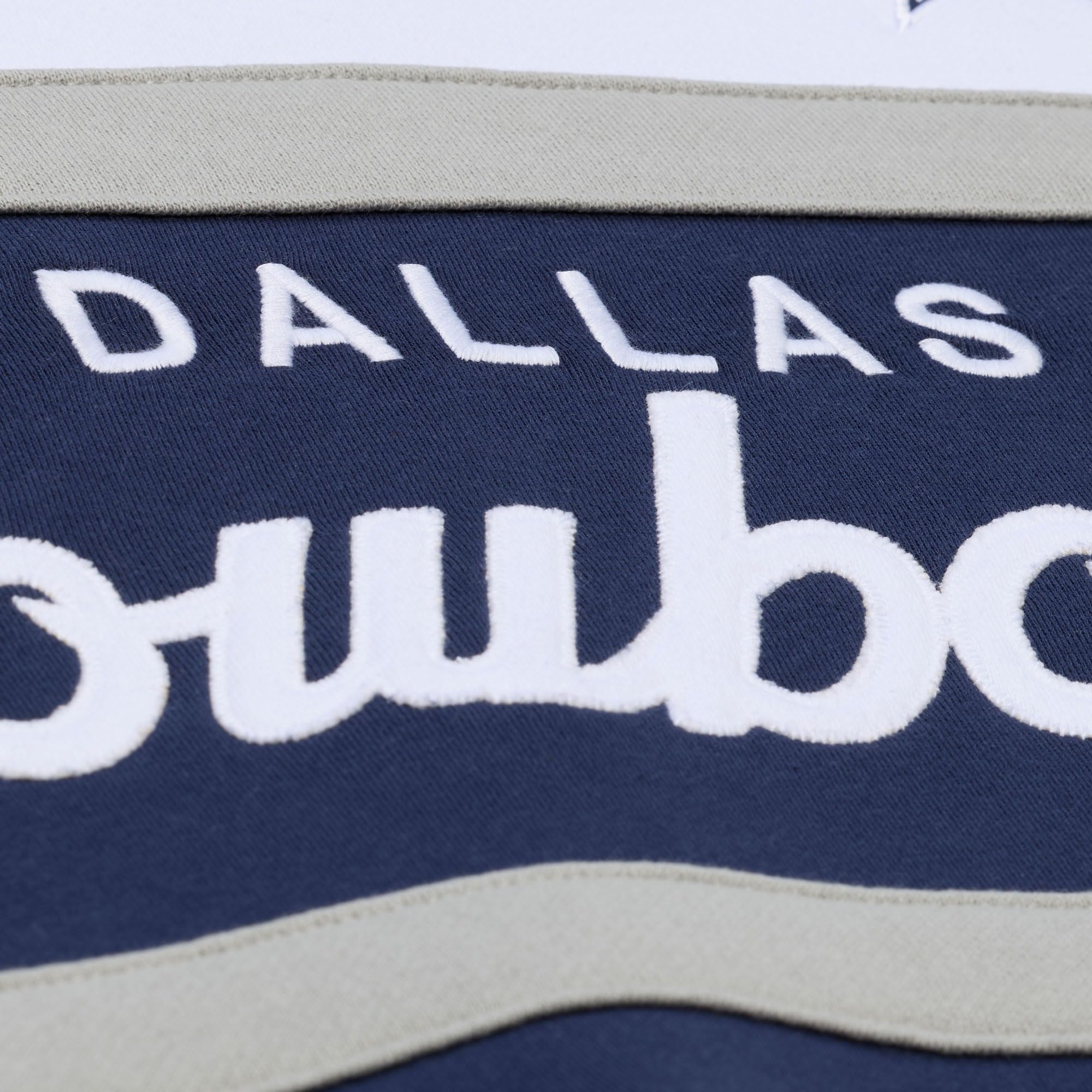 Mitchell & Ness NFL Team Head Coach | Sweat à capuche | Graphiques brodés et détaillés | Poche kangourou à l'avant