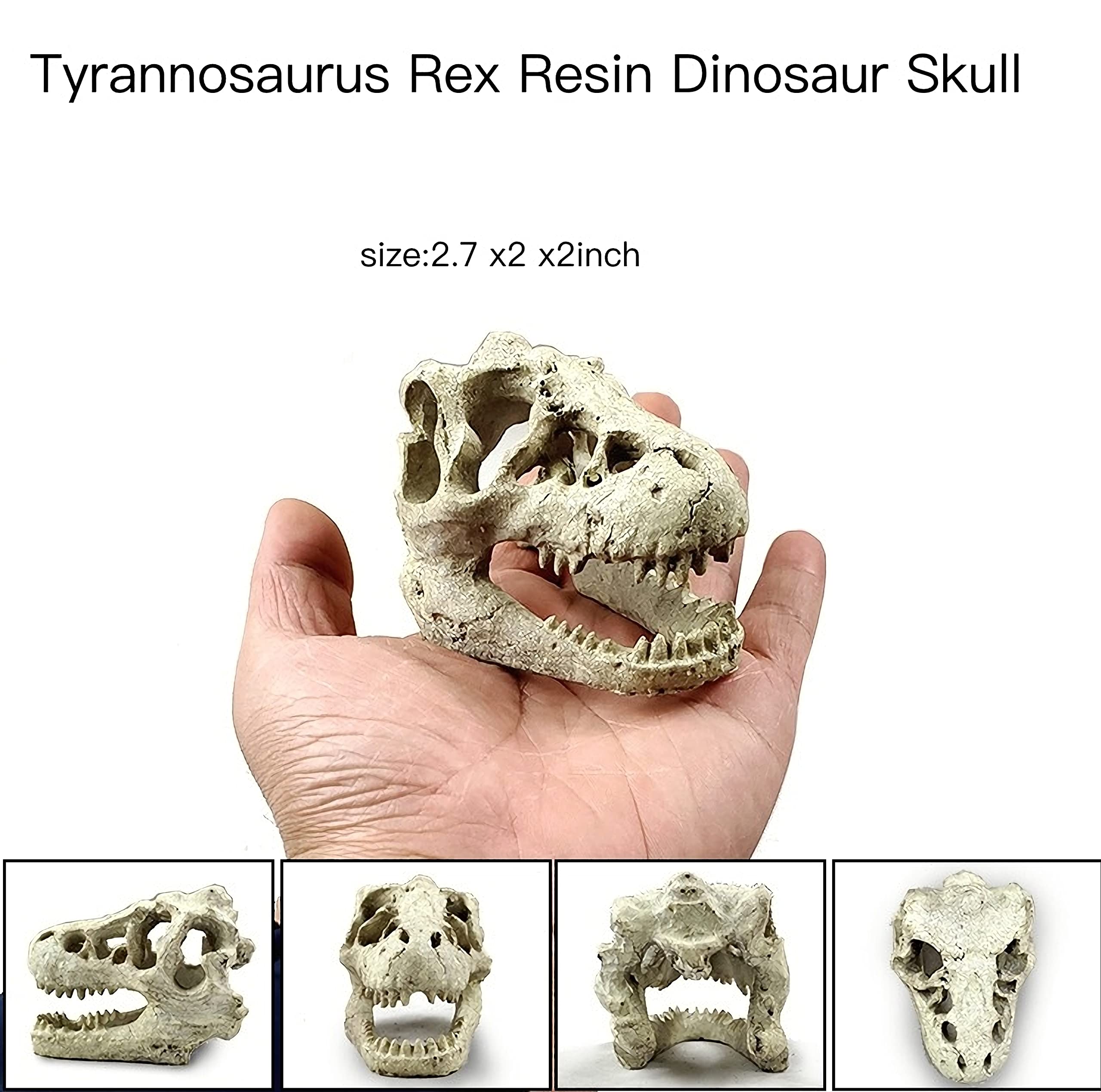 Amazon.com: AWXZOM Desert Reptile Decor Skull Fish Tank