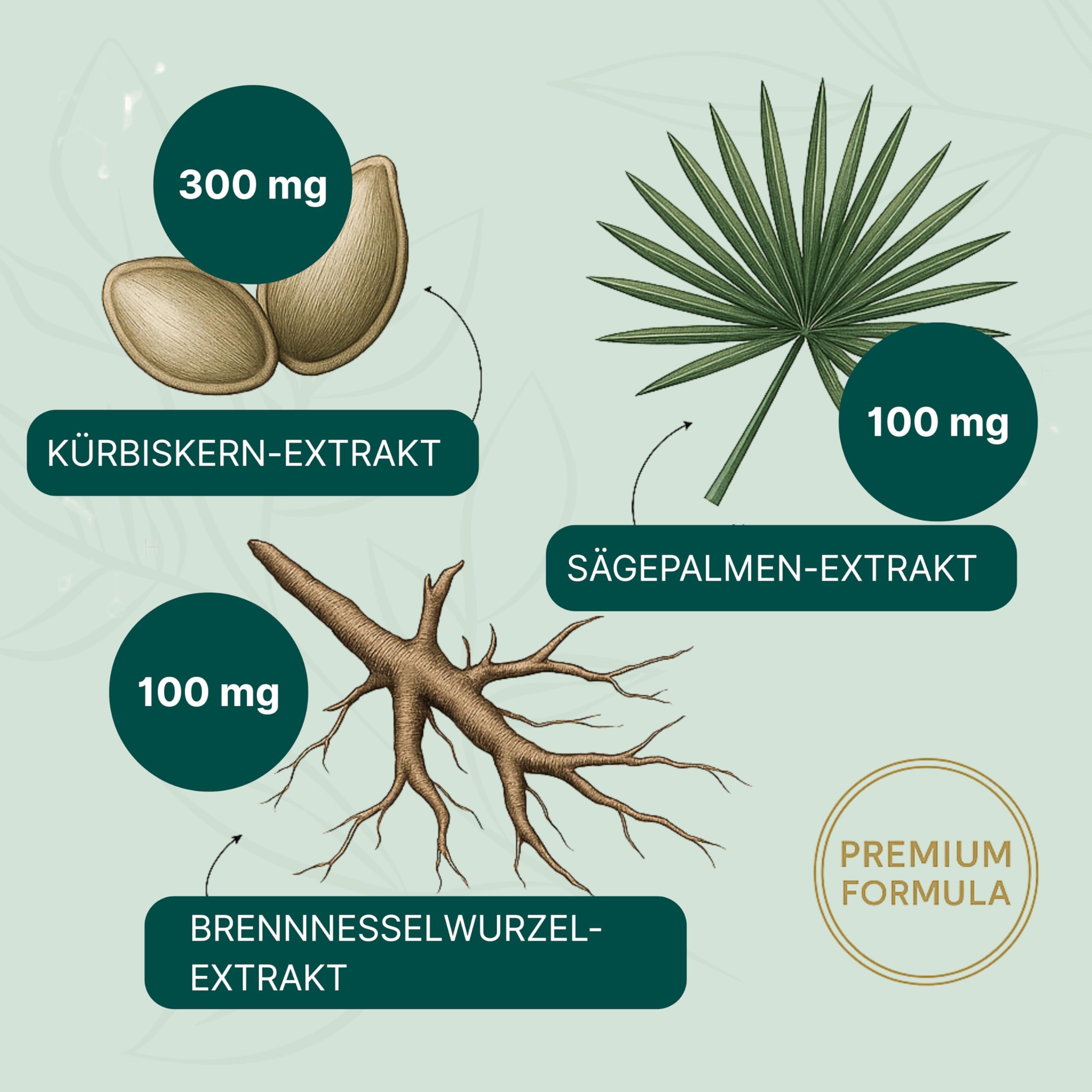 ESSENZ - Prosta Vit 2x60 Kapseln - Natürliche Prosta Vit Kapseln mit Kürbiskern-, Sägepalm- & Brennnesselwurzelextrakt. Zur Förderung des Wohlbefindens