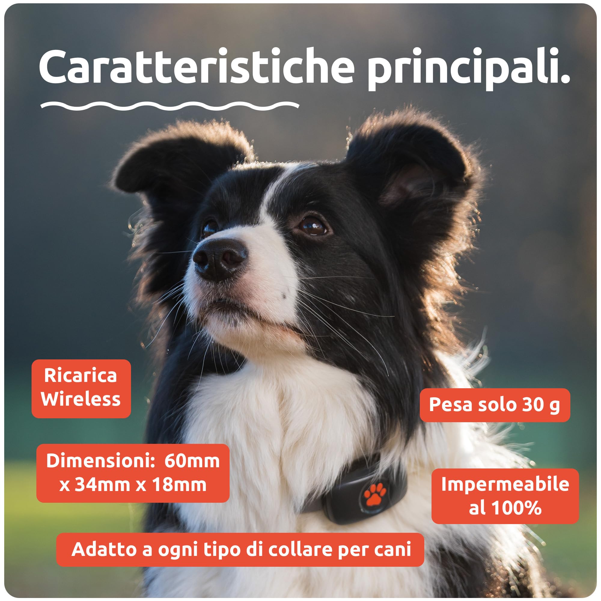 PitPat Localizzatore GPS per cani senza abbonamento, Rosso
