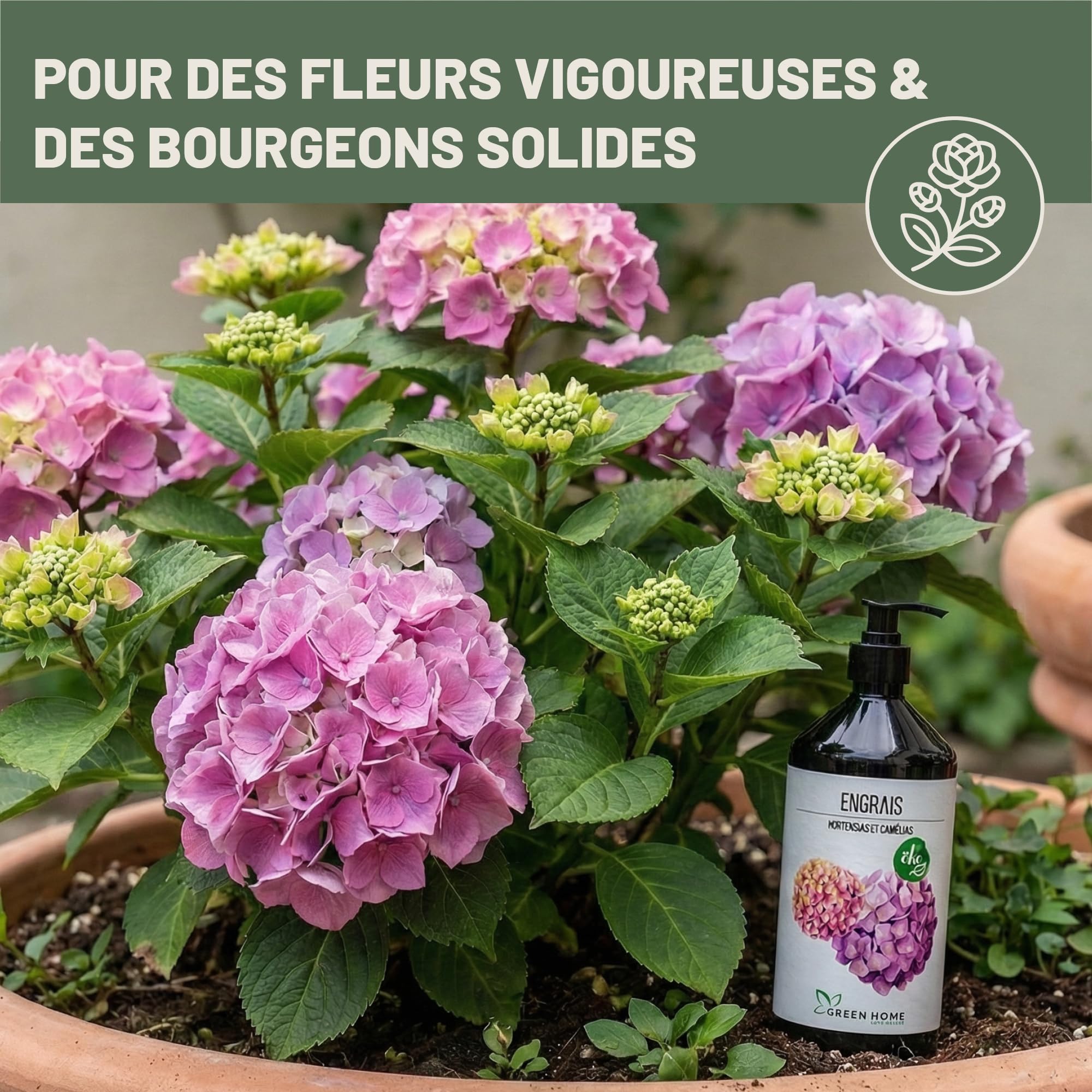 Green Home Engrais Hortensia & Camélia Liquide 1 L avec Pompe Doseuse NPK 5-5-7 – Engrais Hortensia Liquide pour Hortensias, Camélias et Rhododendrons