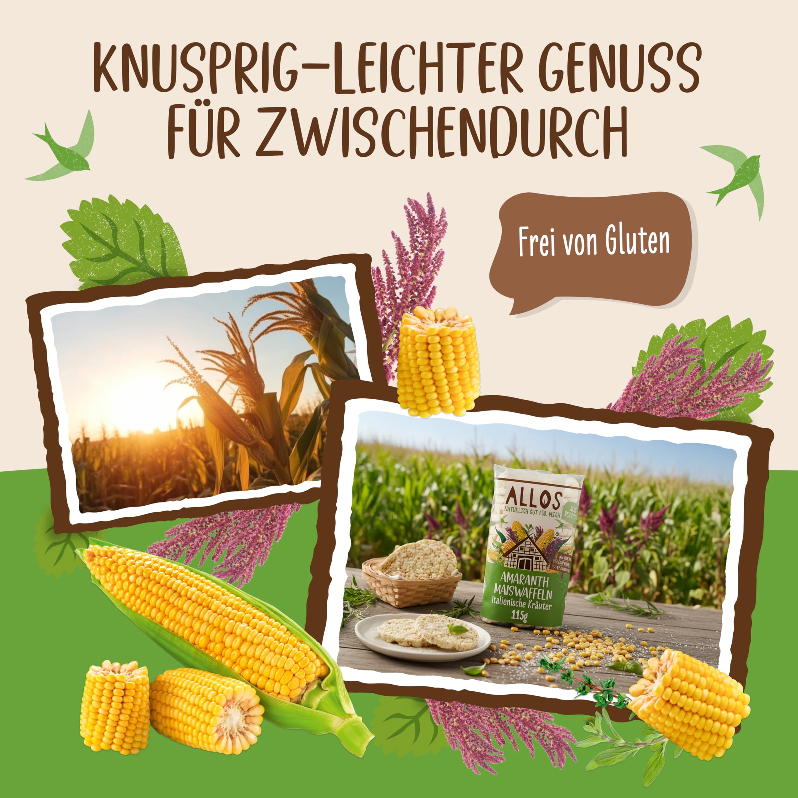 Allos Bio Amaranth-Mais Waffeln Italienische Kräuter | 12er Pack | Knusprig-leichter Snack mit Kräutern | Alternative zu Reiswaffeln |vegan & glutenfrei | 12 x 115g