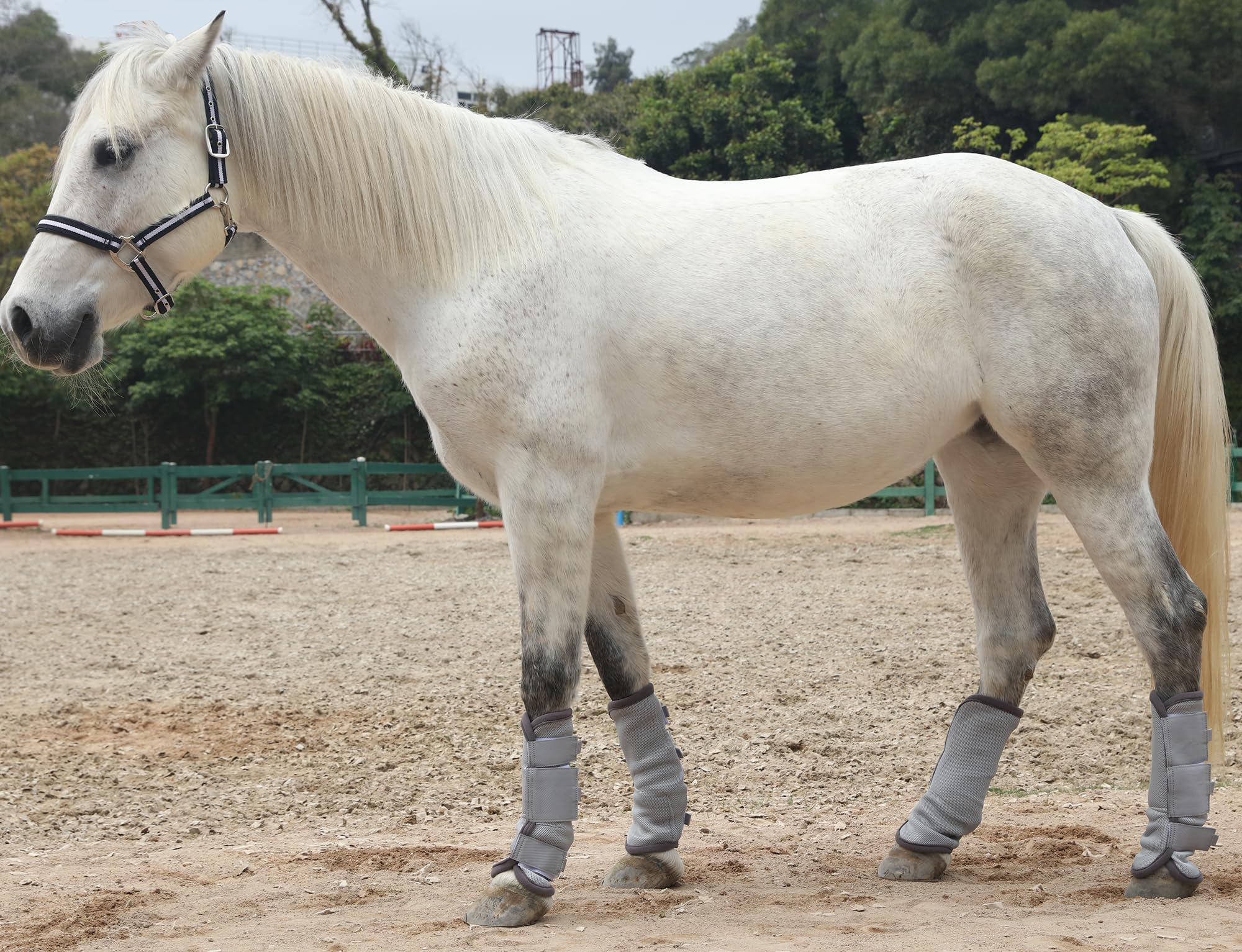 LEAFOREST Lot de 4 bottes de protection antidérapantes pour poneys - Maille respirante - Gris
