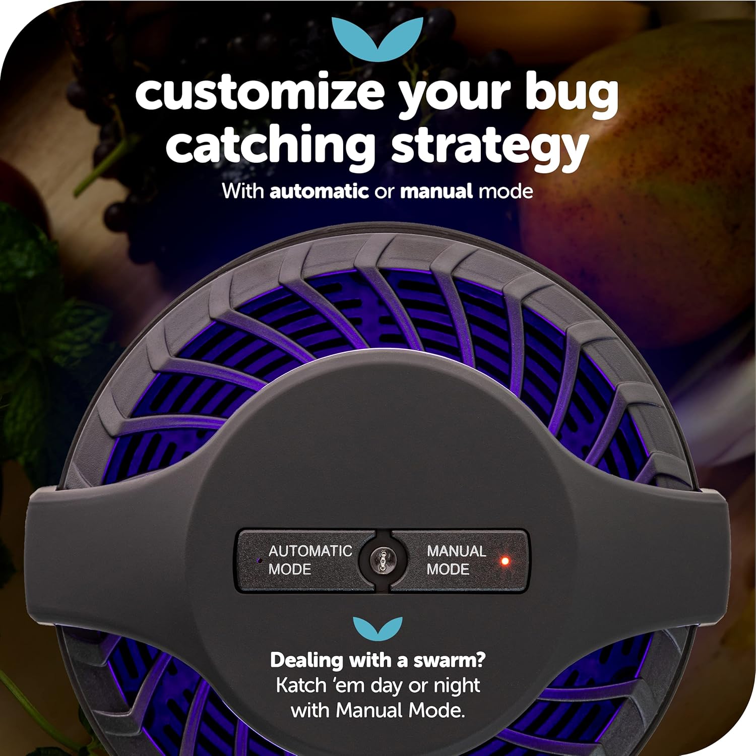 Katchy Midnight - Indoor Insect Trap with Automatic Setting - Fan Powered with UV Light - Fruit Fly Traps for Indoors - for Fruit Flies, Gnats, Mosquitoes, Moths