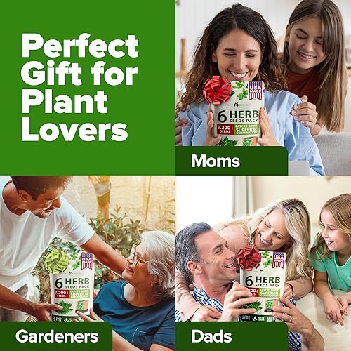 Miniatura 17 de HOME GROWN 12 semillas de vegetales de otoño, más de 6,000 semillas de reliquia para plantar en otoño e invierno, remolacha, brócoli, repollo, col