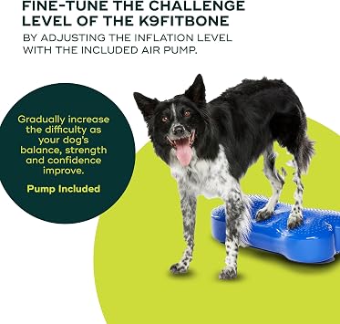 FitPAWS K9FITbone - عادي، أزرق | منصة تدريب توازن الكلاب ومعدات التمرين | أداة تمرين للقوة والجذع والاستقرار