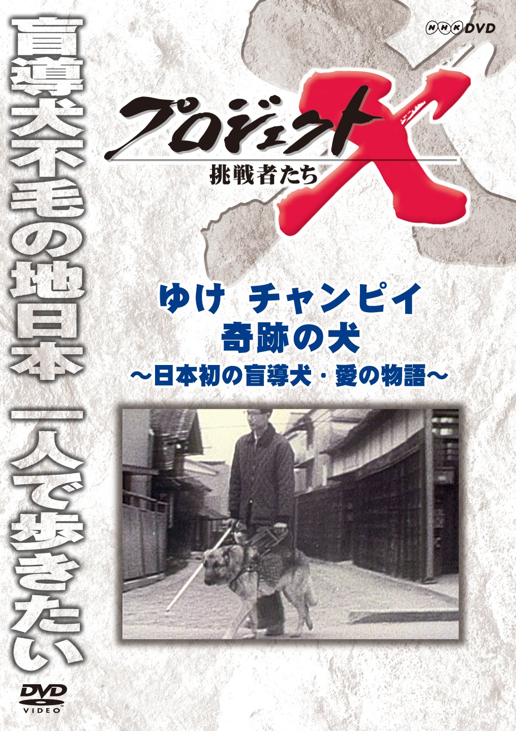 ■激レア■カイキゲッショク_皆既月食_資料映像サンプルDVD_新品 未使用 51H4Lvj0maL.jpg
