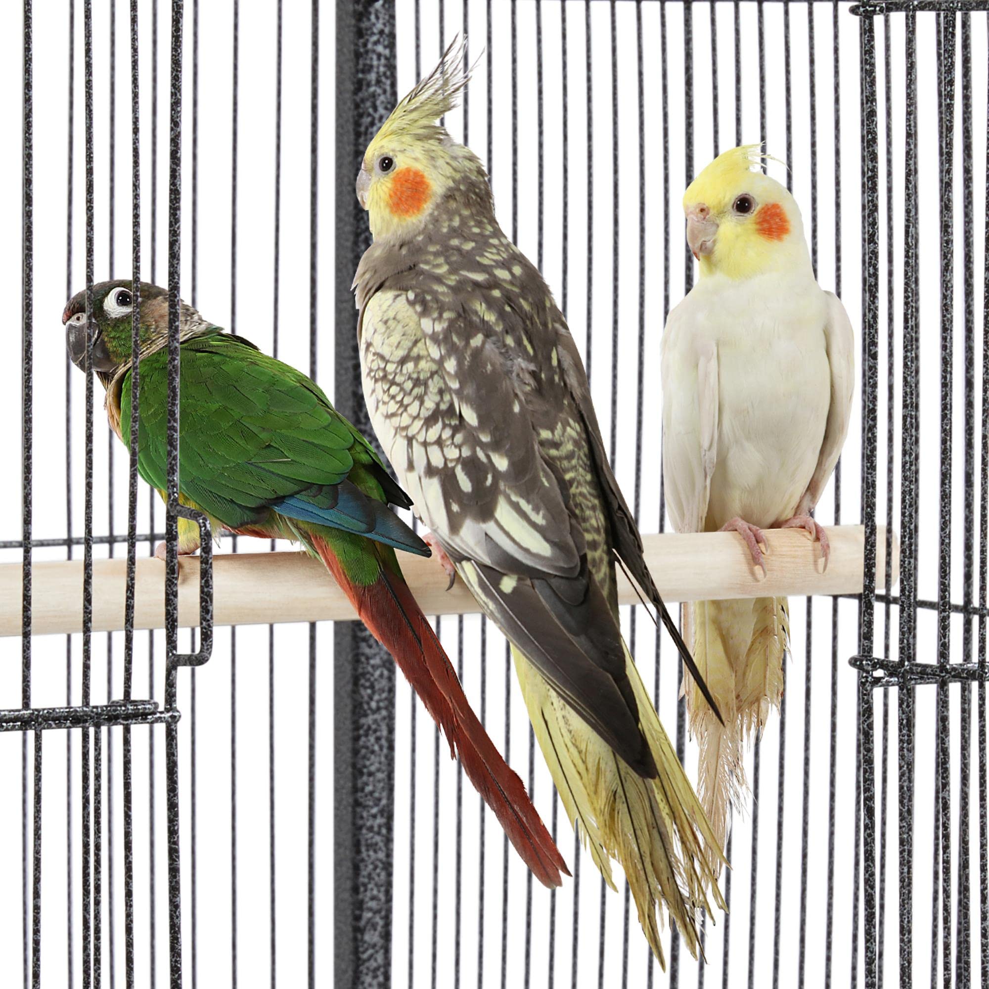 Abician Cage à Oiseaux sur Pied à roulettes Cage en Métal pour Perroquet Perruches Intérieur Extérieur 45,5×45,5×100,5 cm