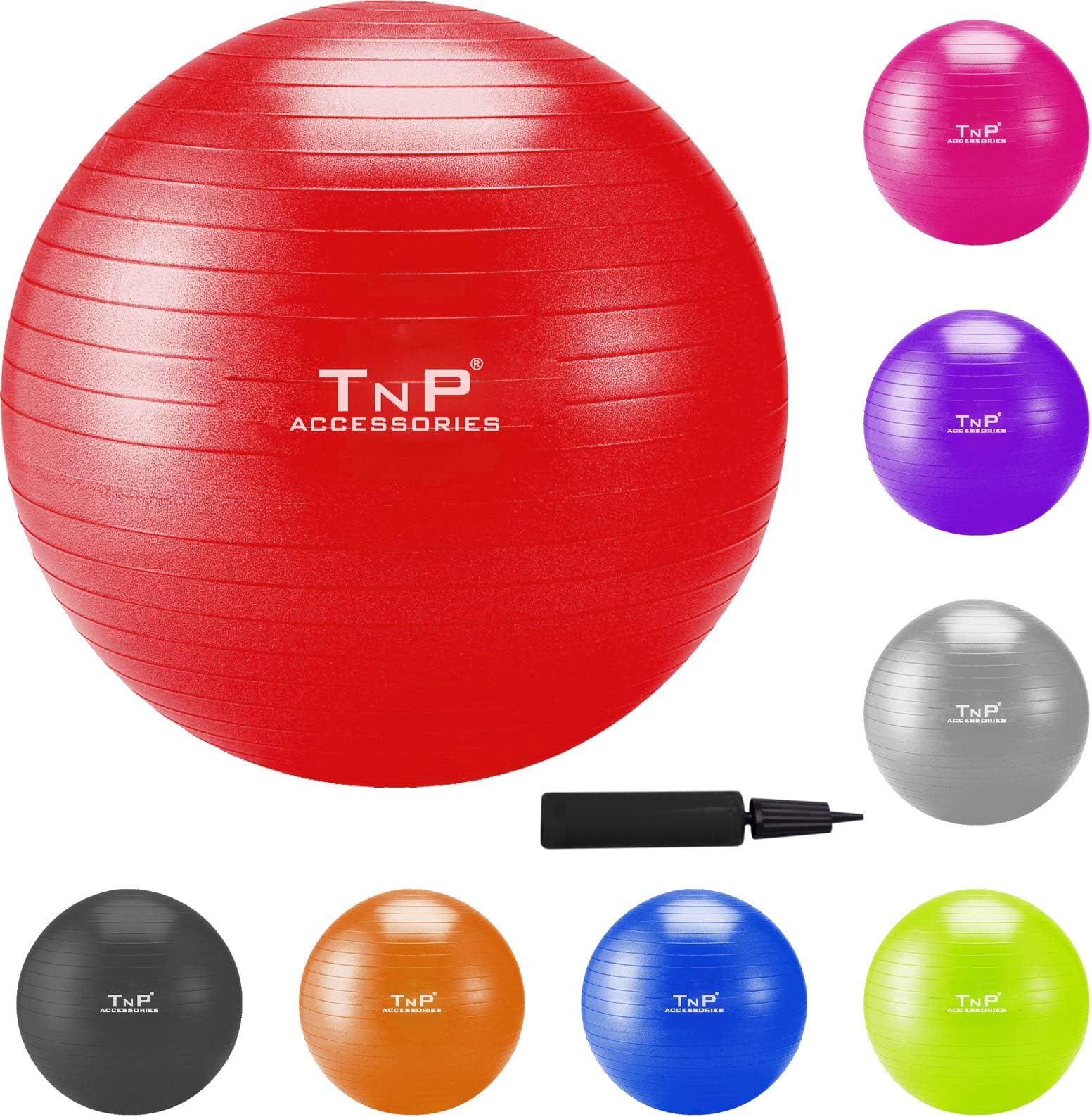 Gym Ball/Exercise Ball 65cm With Dual Action Hand Pump By TNP