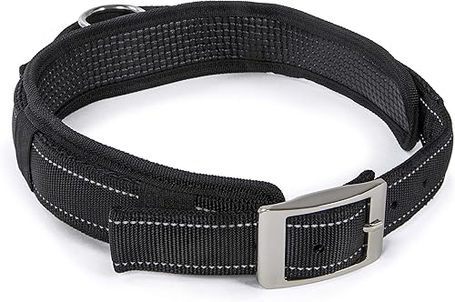 Sherpa Collar para perro con correa incorporada, negro, talla XL